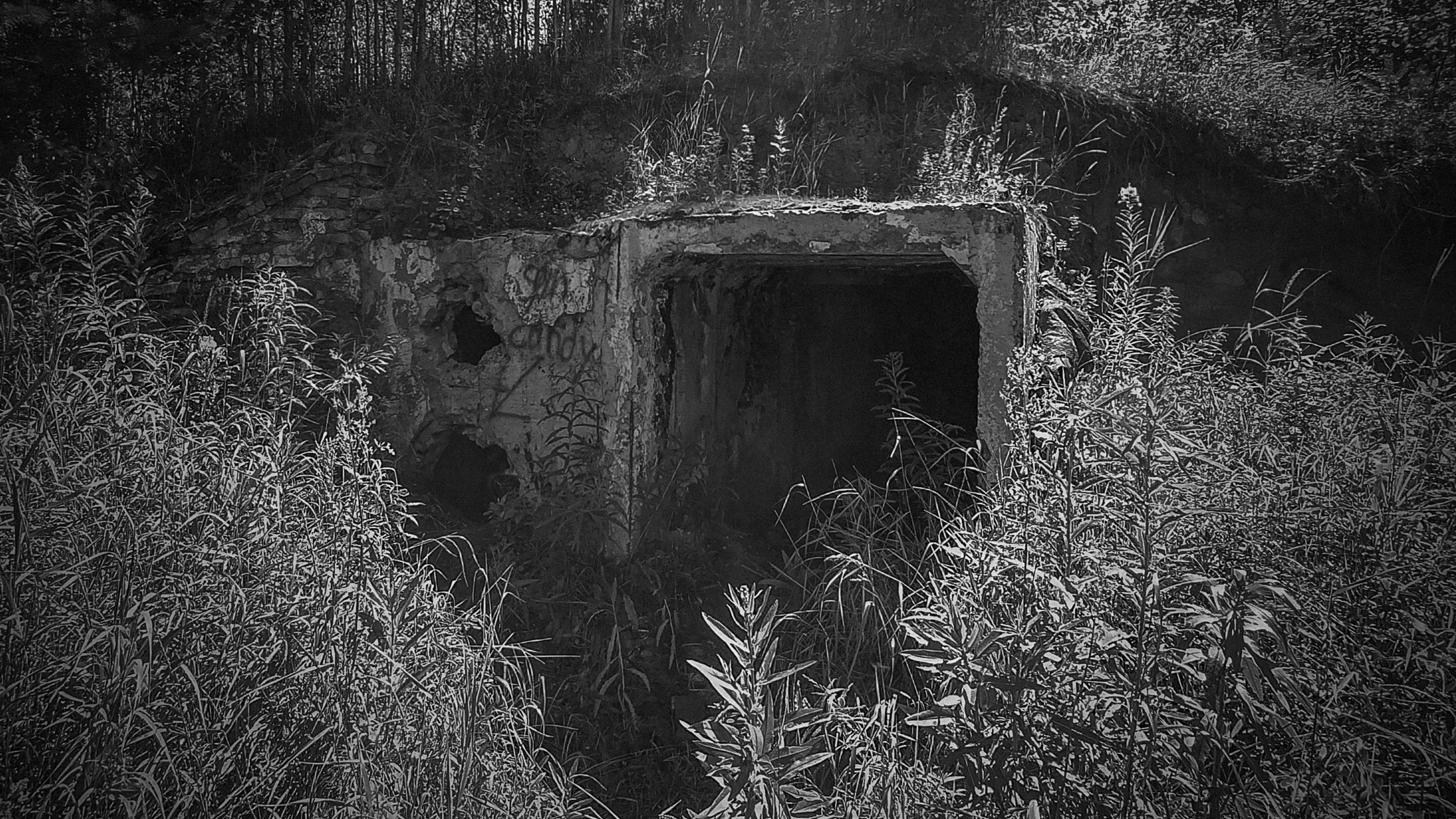 Посещение «Секретного бункера» с Дашей