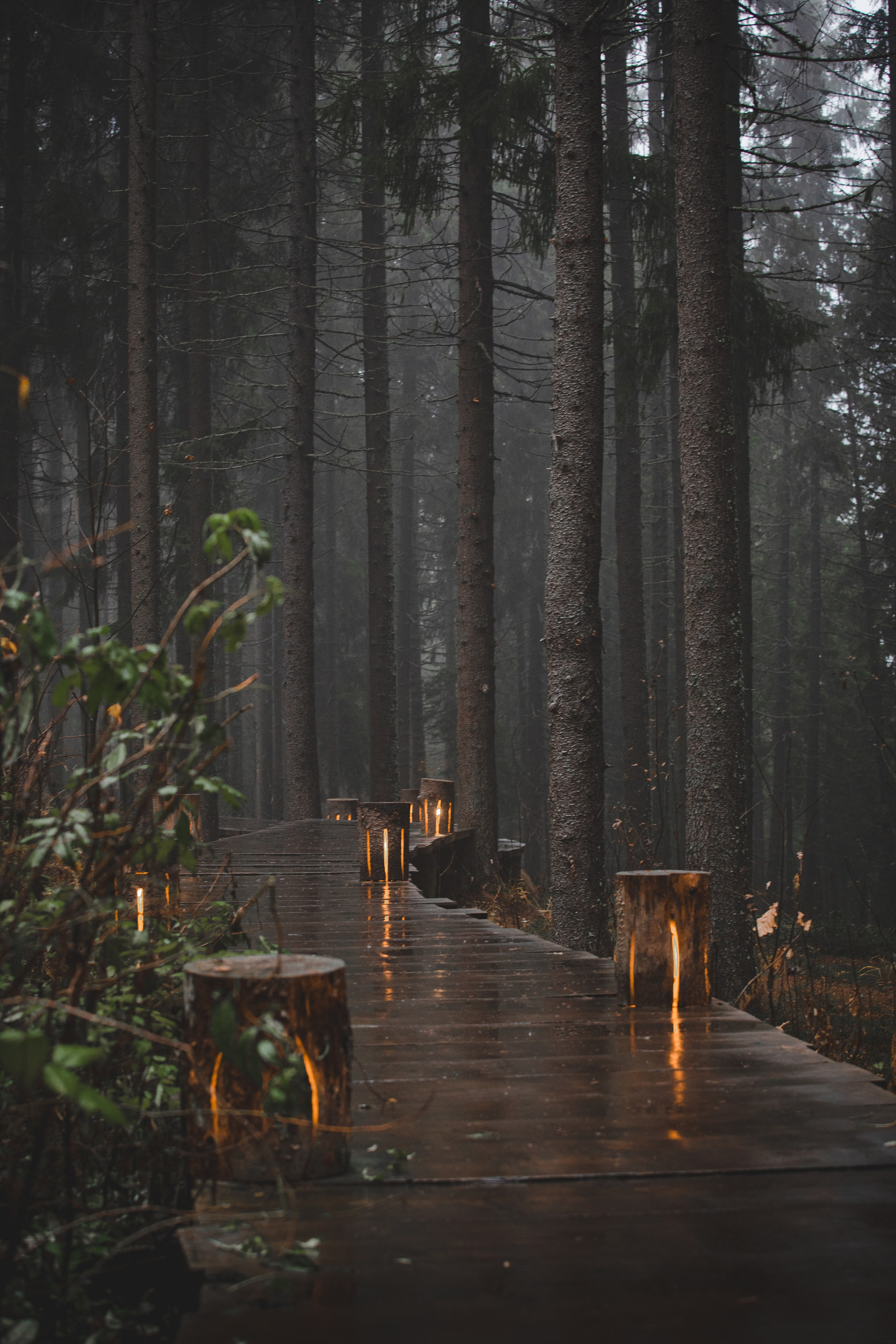 Продукты. Фотограф Москва, Сергиев Посад