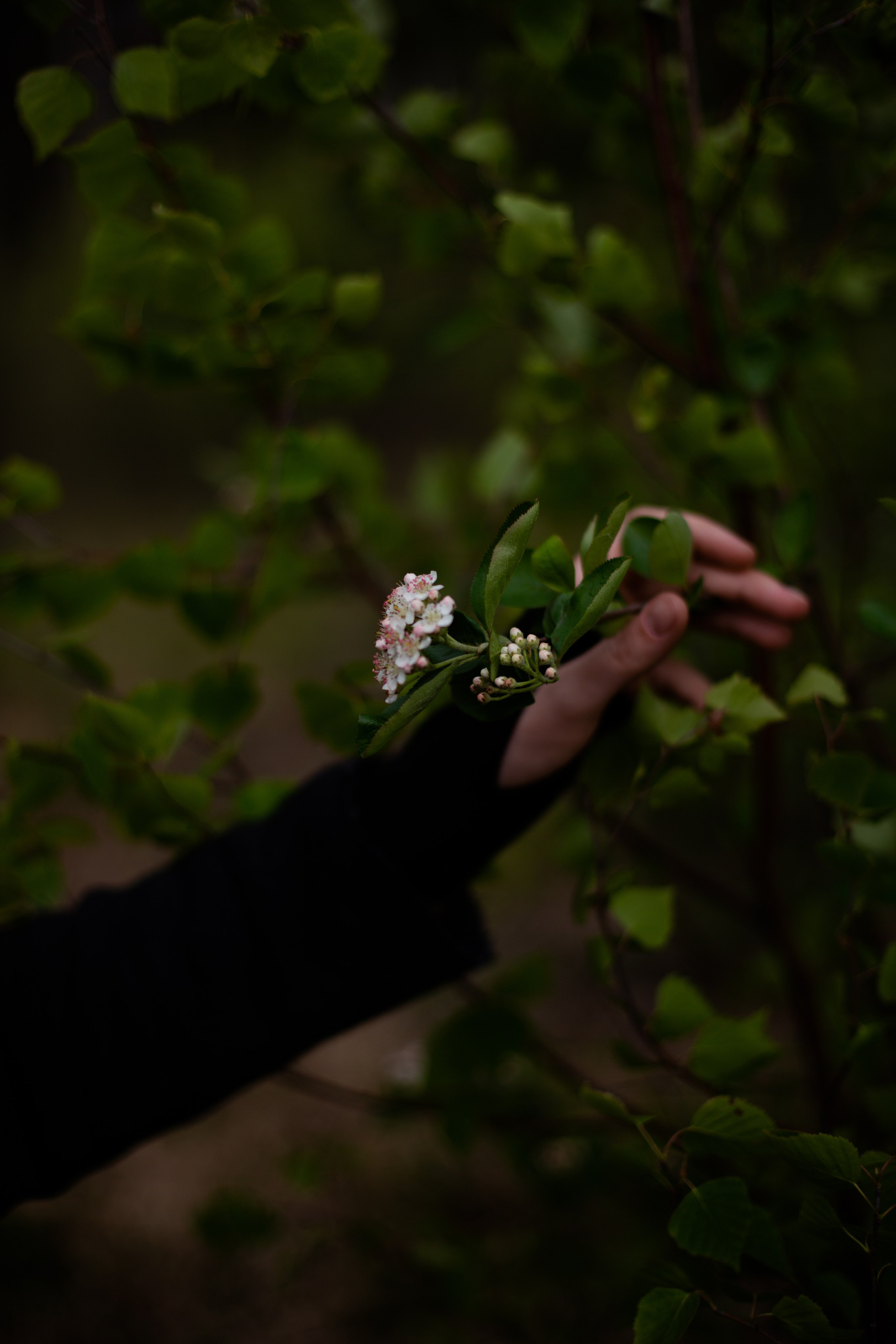 Я справляюсь. Стресс-менеджмент для живых. Александра Лившиц. Телесная терапия для зануд, эстетов и тех, кто уязвим