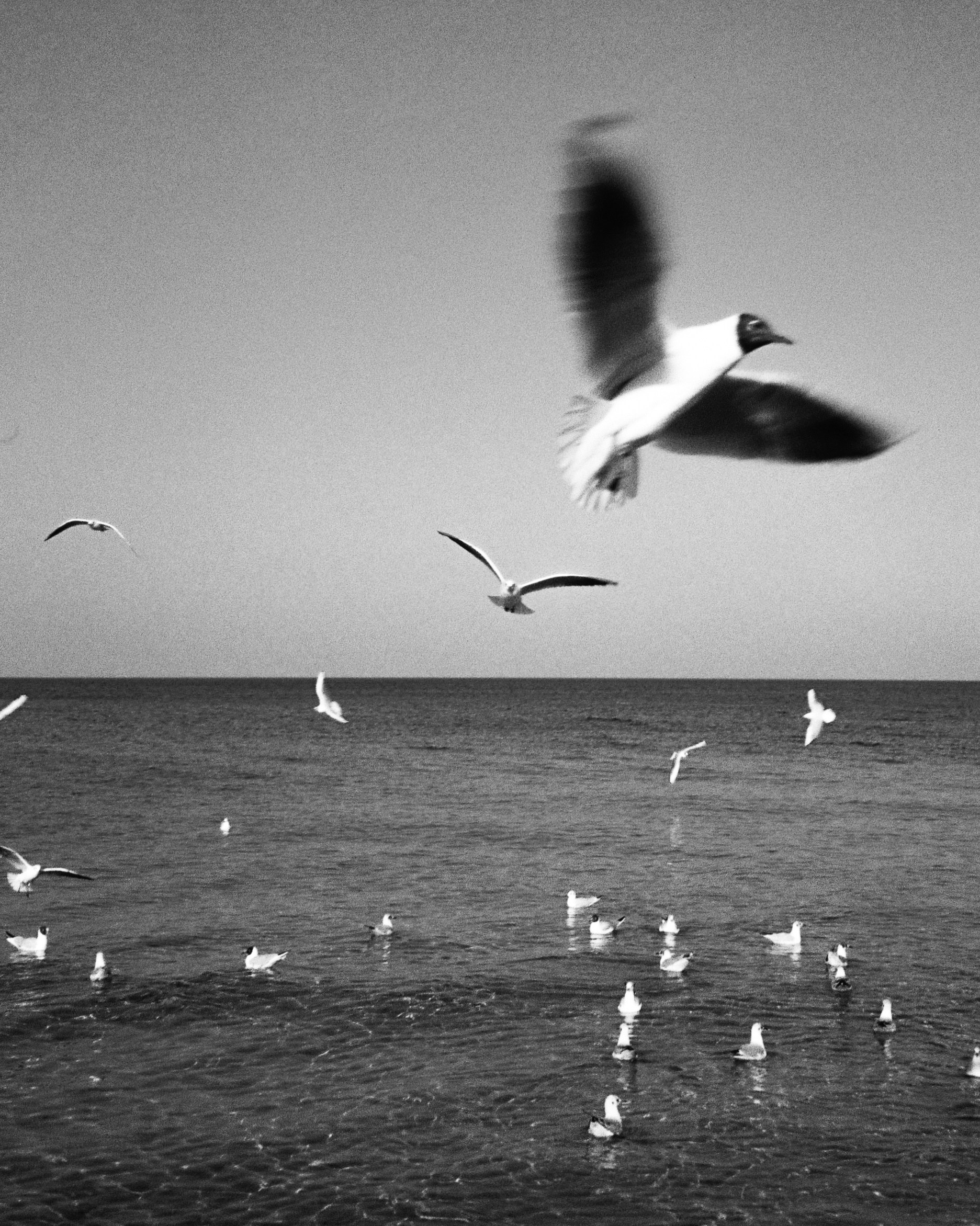 Whoisanyaa • фотограф Москва//Спб