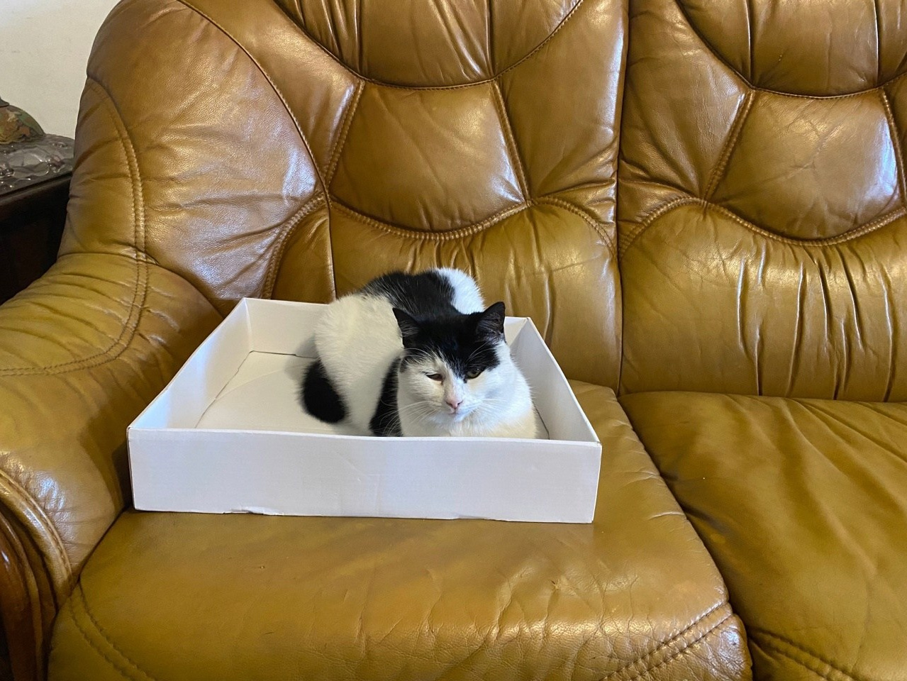 Новости. Дом Шрёдера