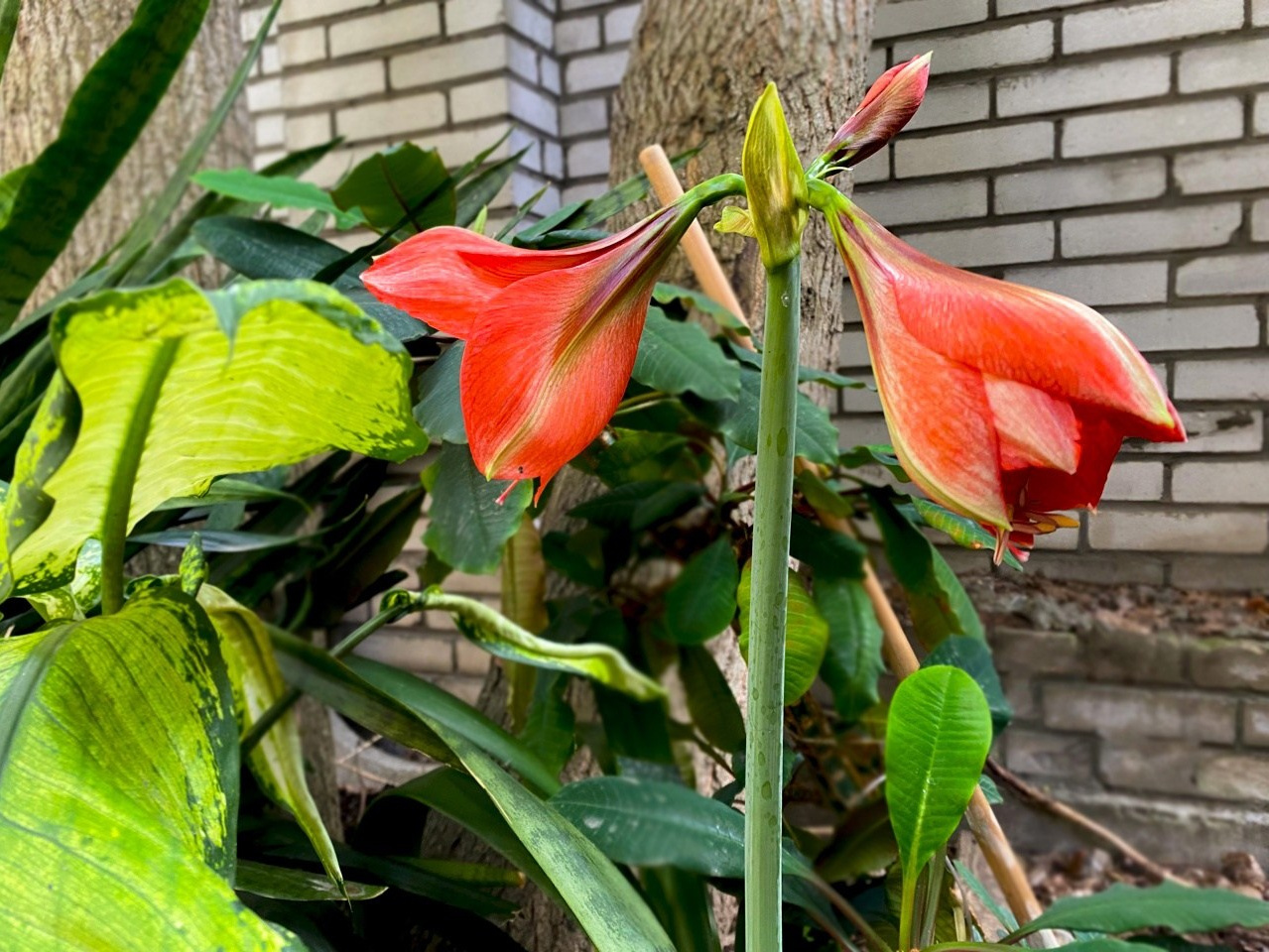 Новости. Дом Шрёдера