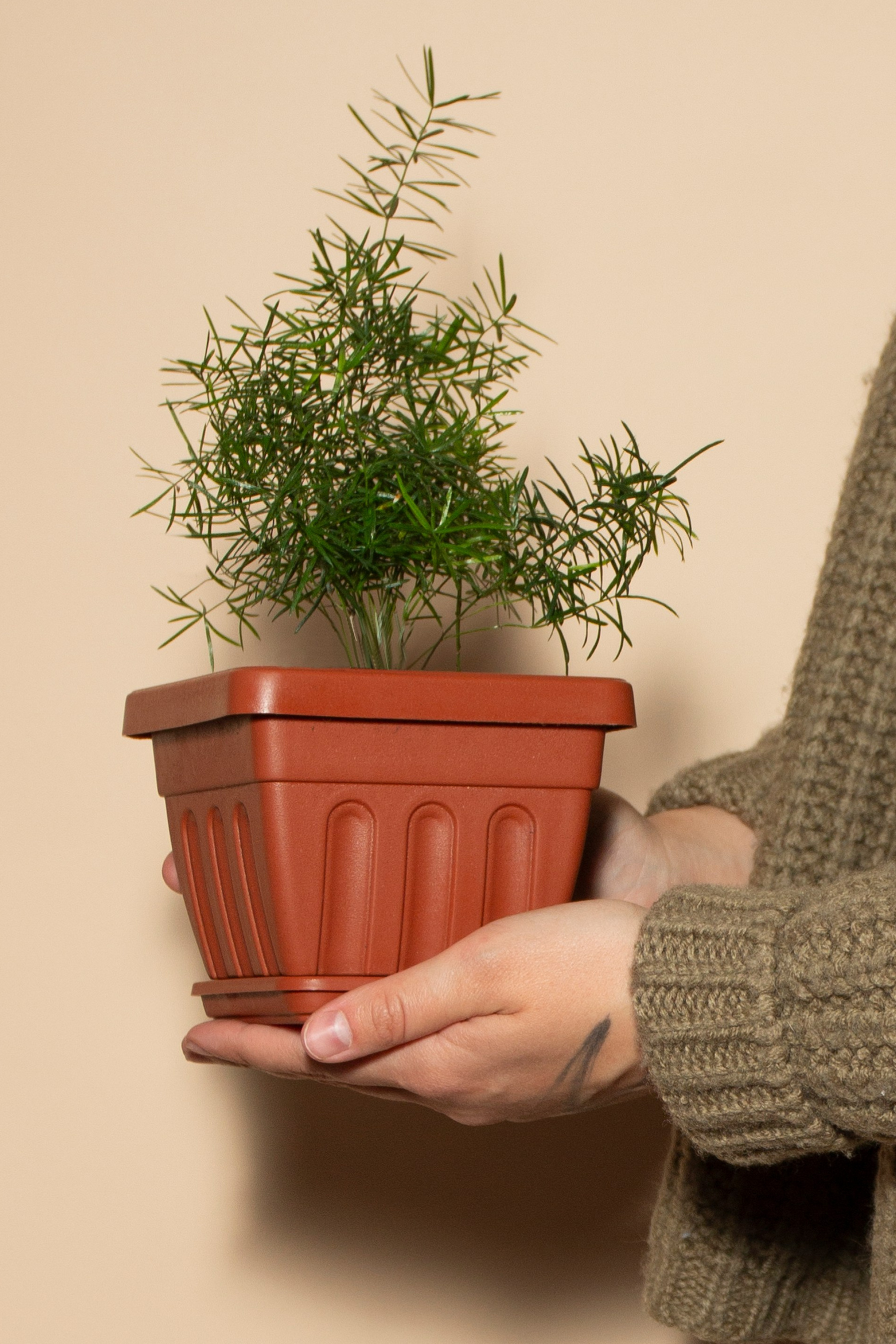 Предметная фотография. Фотограф Злата Спицына