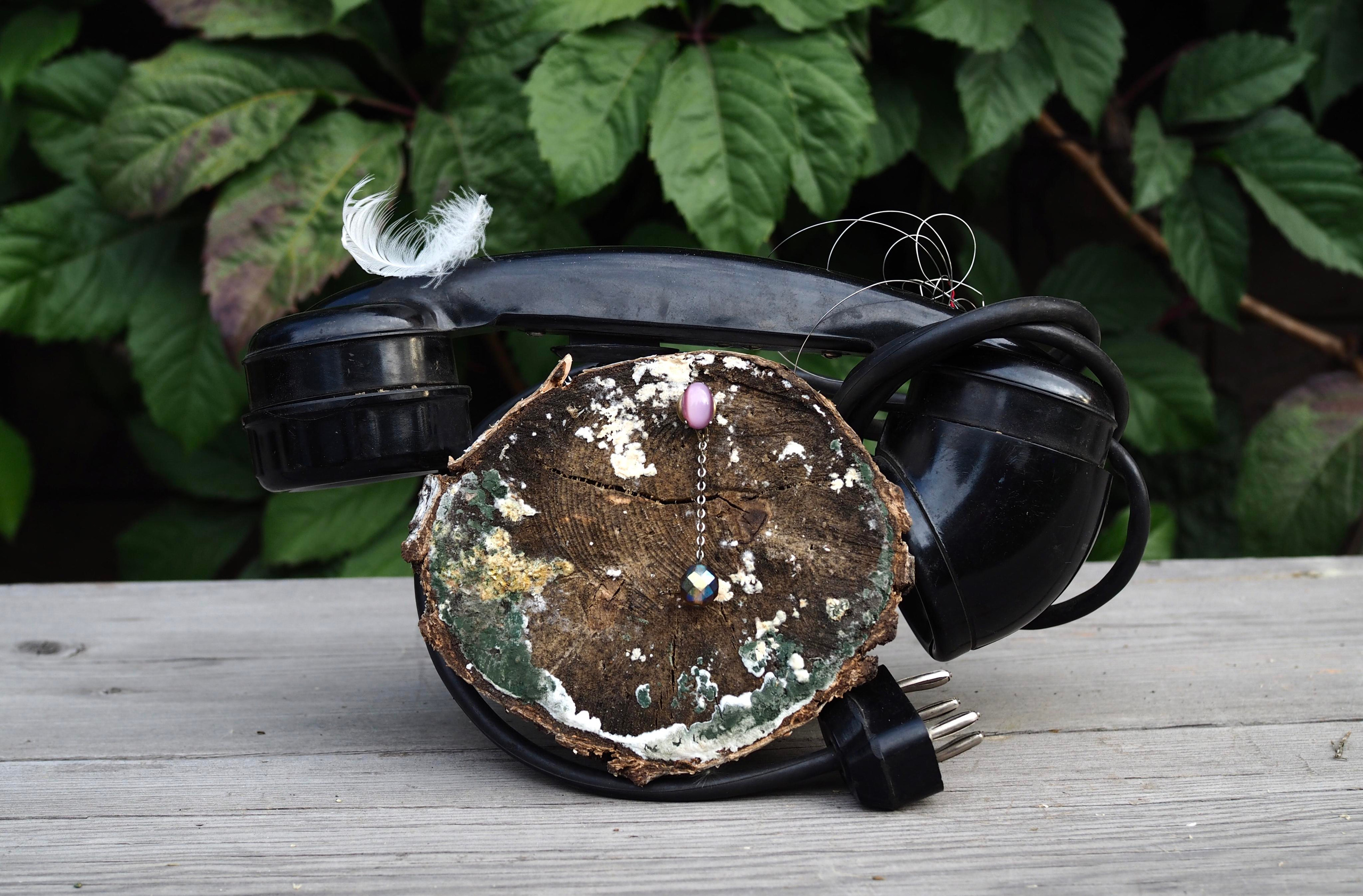 Still life photography. Visual artist Irina Heinz