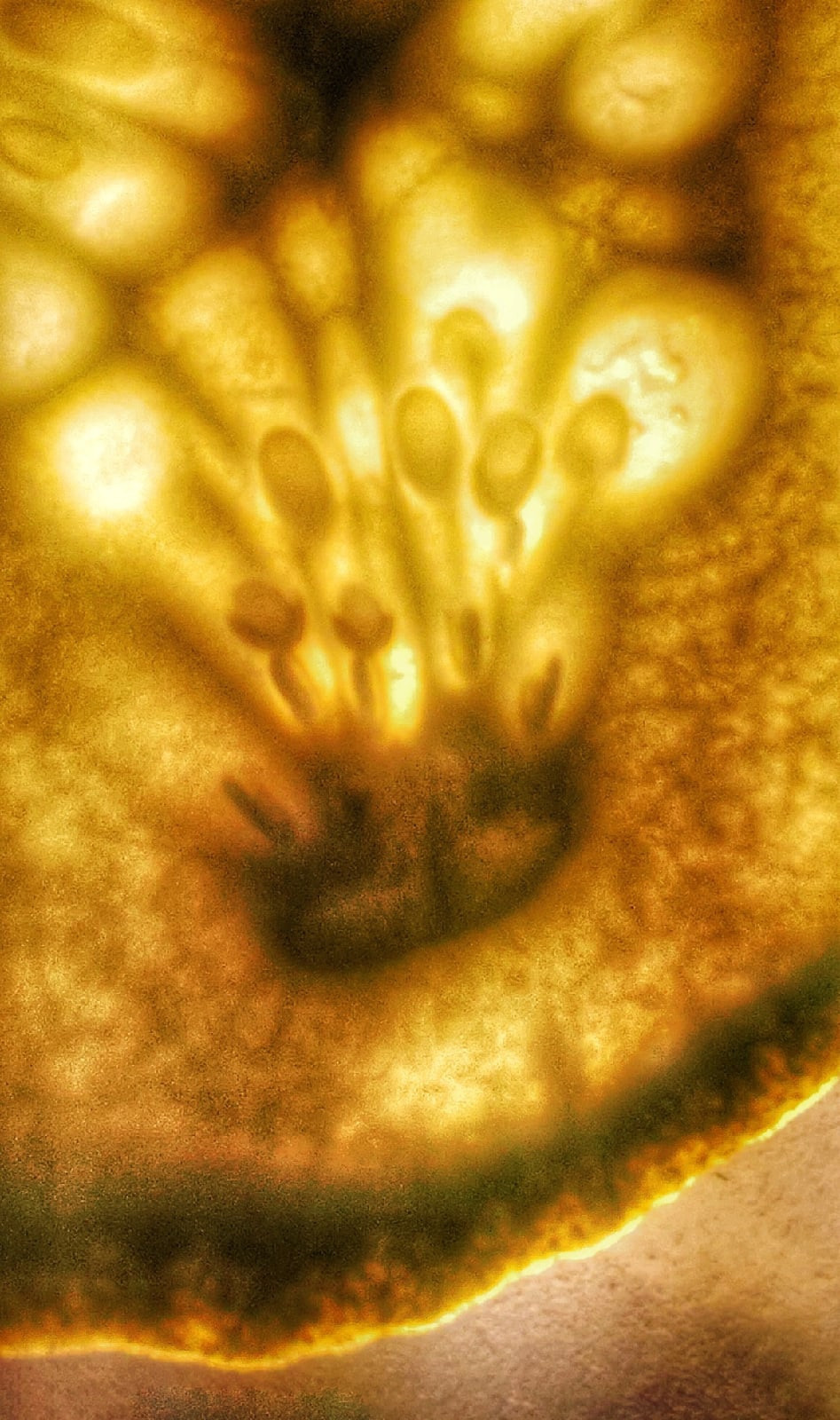 Интенсив «Контент фотография для детей». Фото школа, обучение фотографии в Калининграде