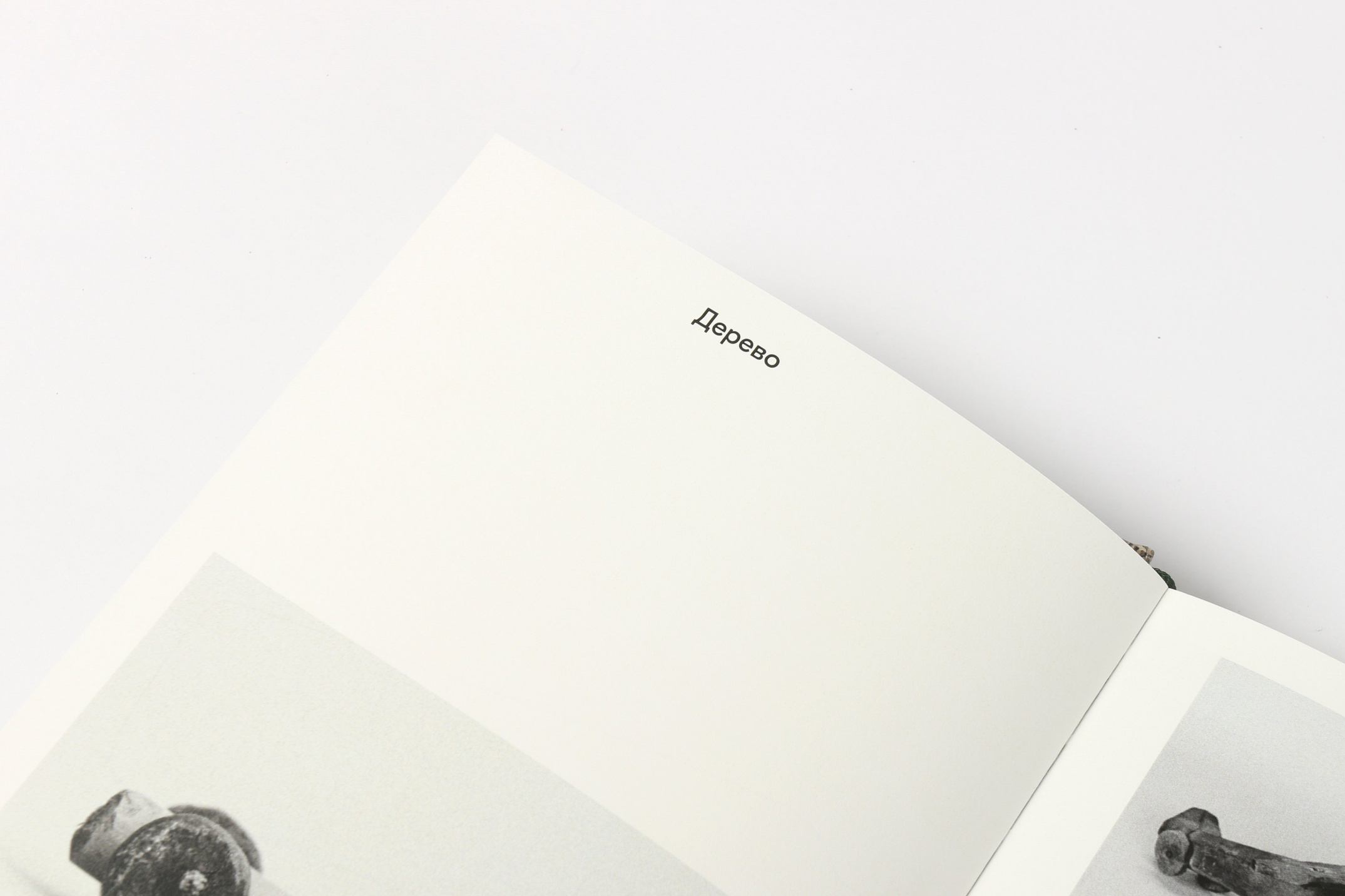 Предметная фотография. Фотограф Злата Спицына