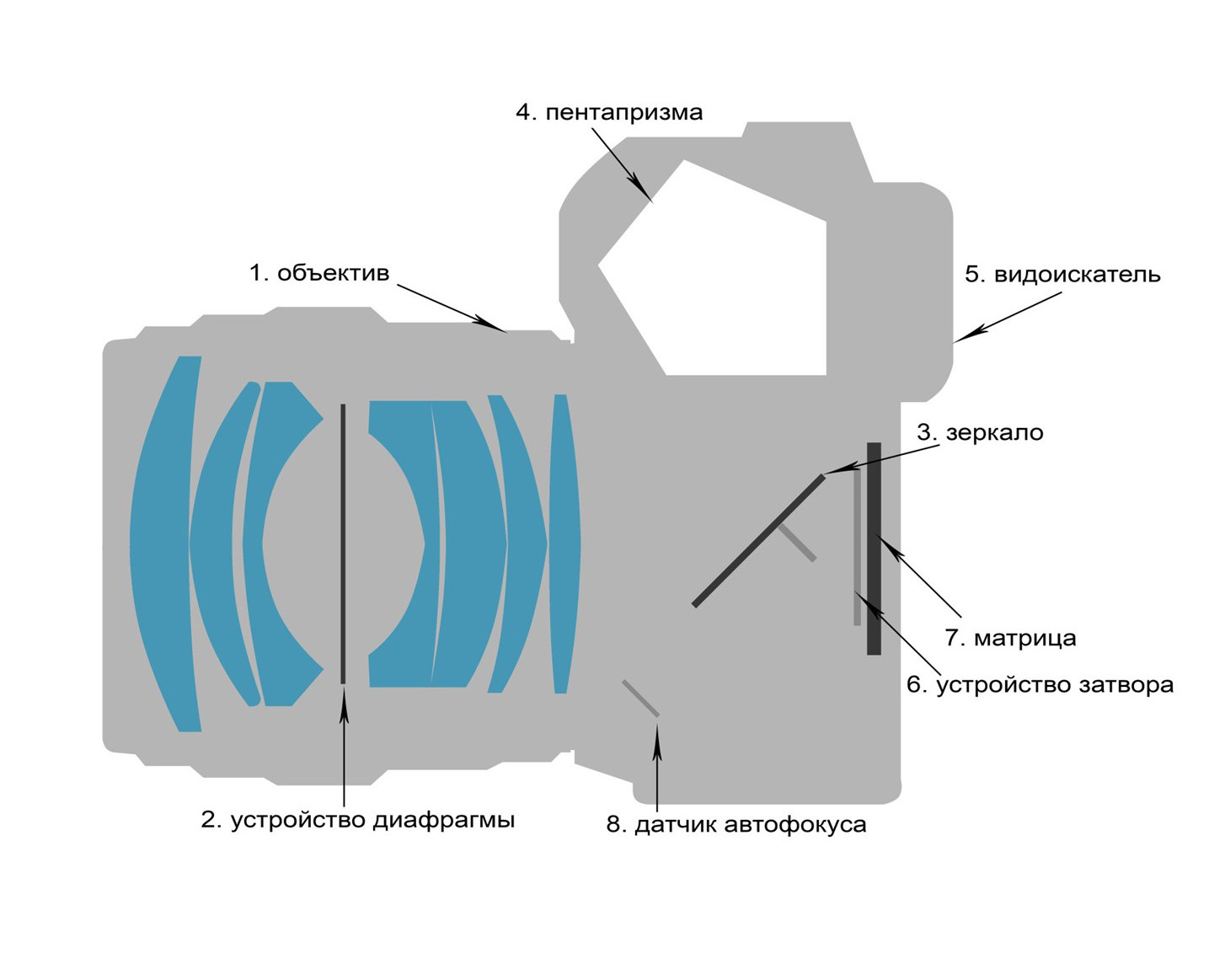 Занятие № 1. FOTOFAQ SKOOL г. Санкт-Петербург: очные, дистанционные и онлайн курсы фотографии