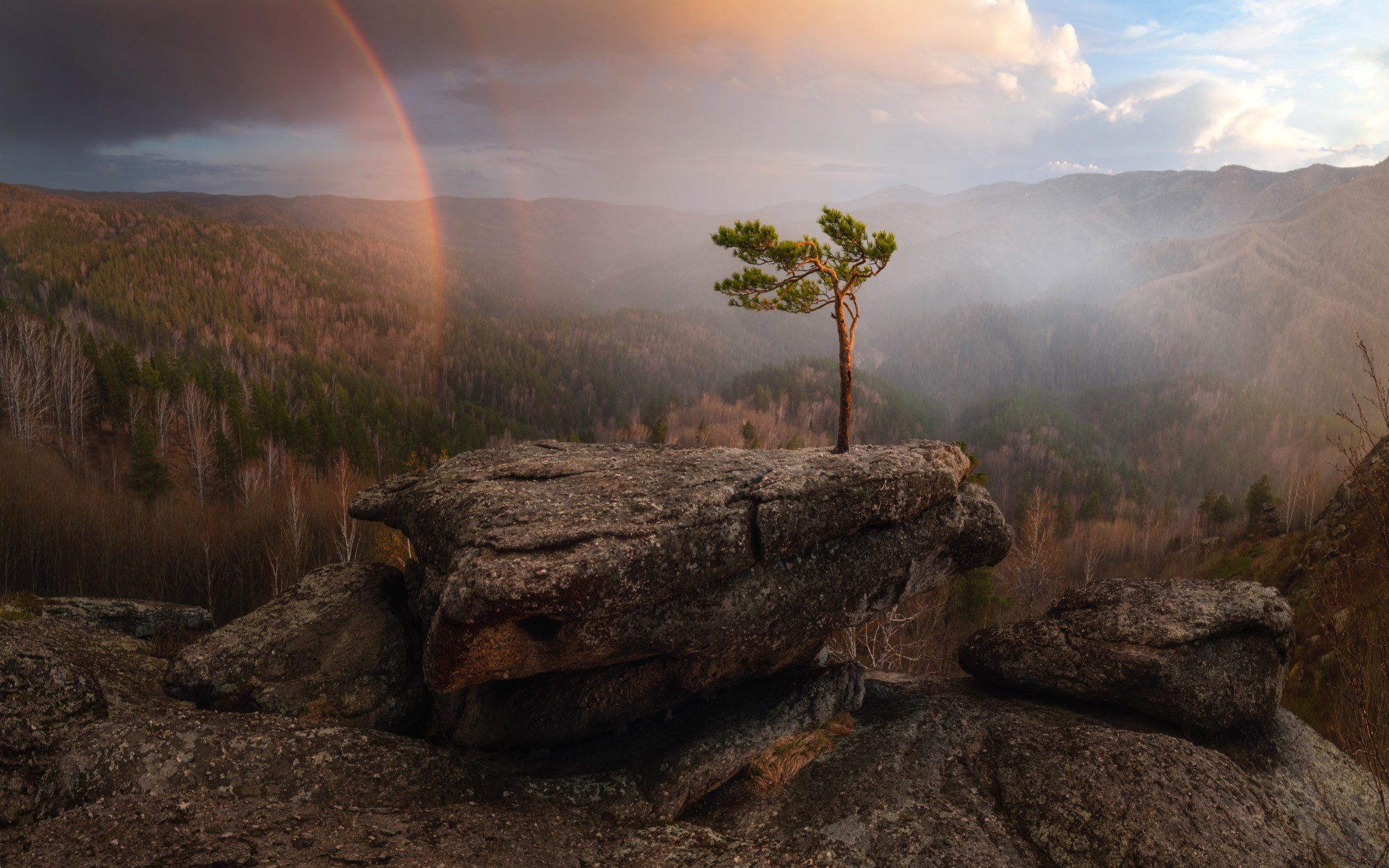 Итоги фотоконкурса 11th 35 awards фотограф Алёна Рубан