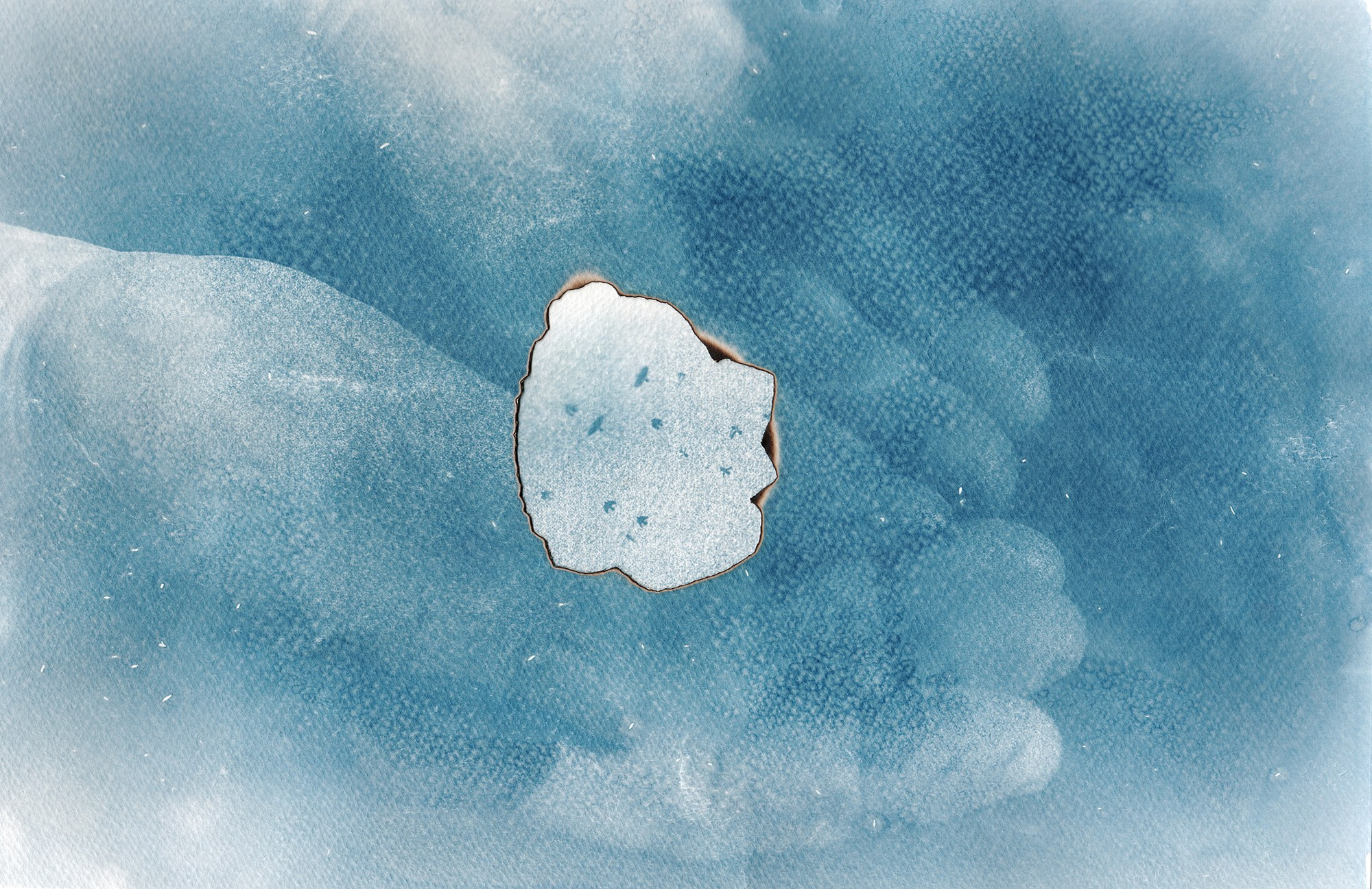 Юлия Алтухова, мультимедиа художница