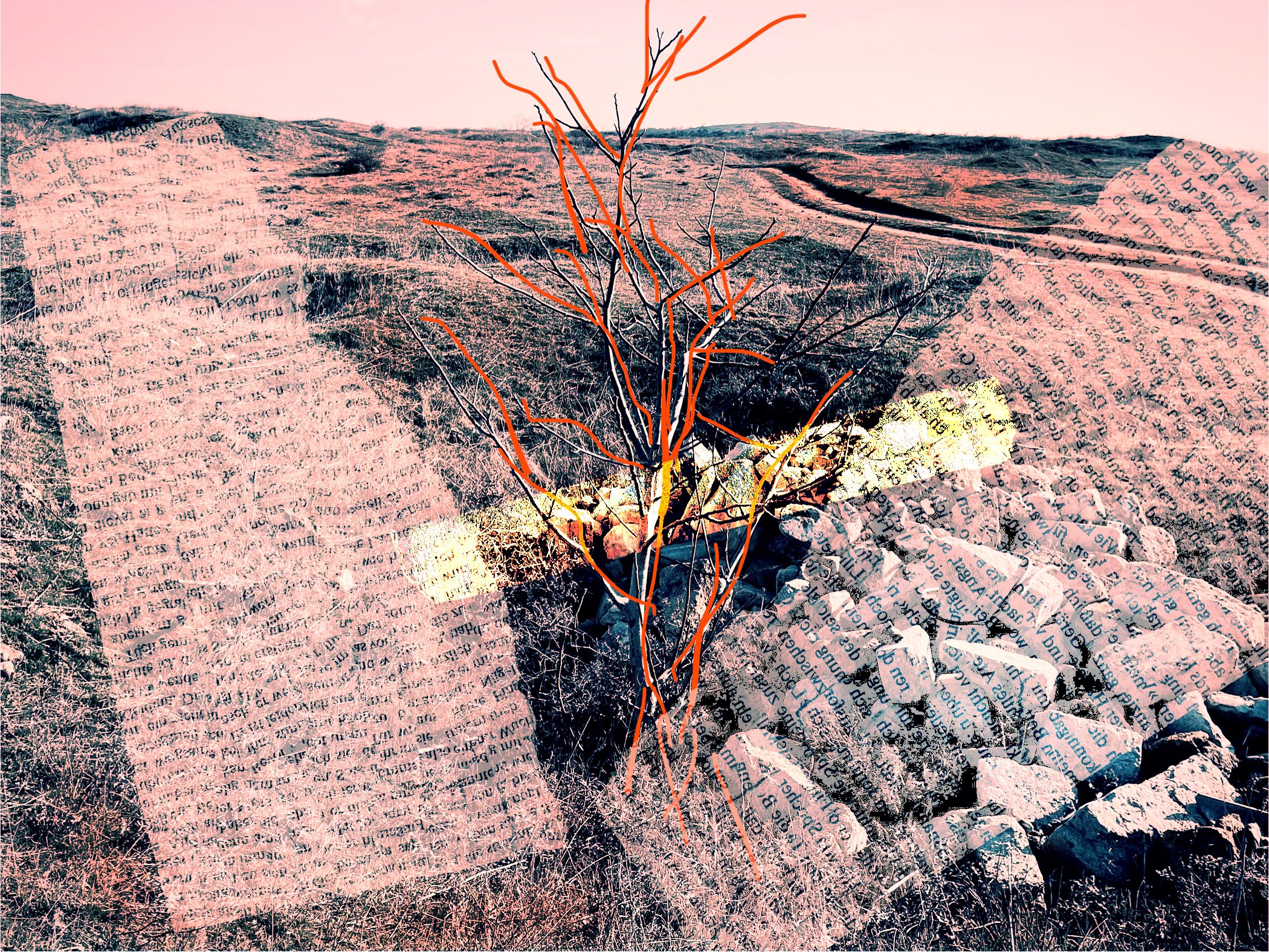 Power lines. Visual artist, photographer Liana Darenskaya, Moscow