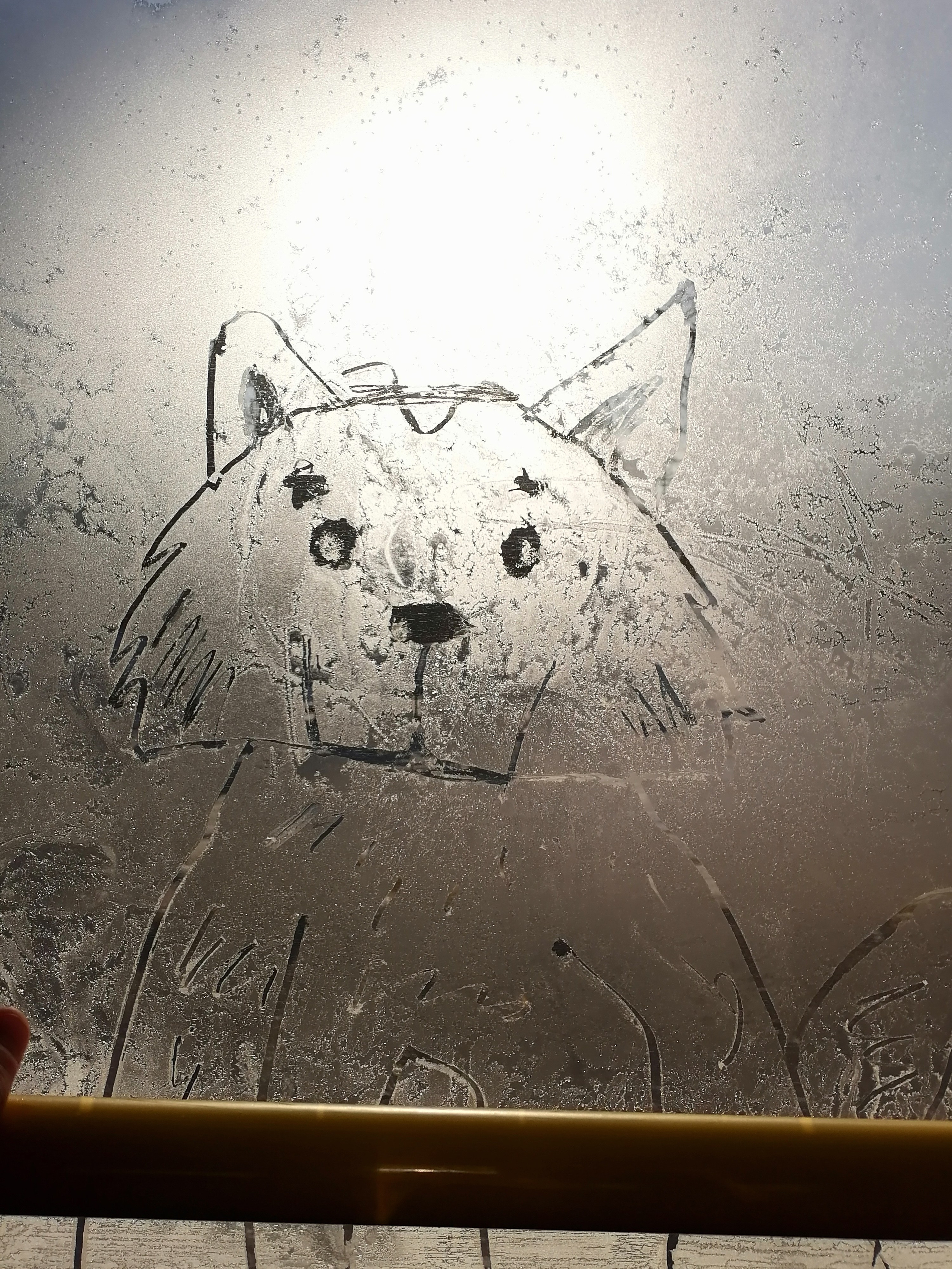 Рисункинаокнахавтобуса. Художник Рыбак Николай