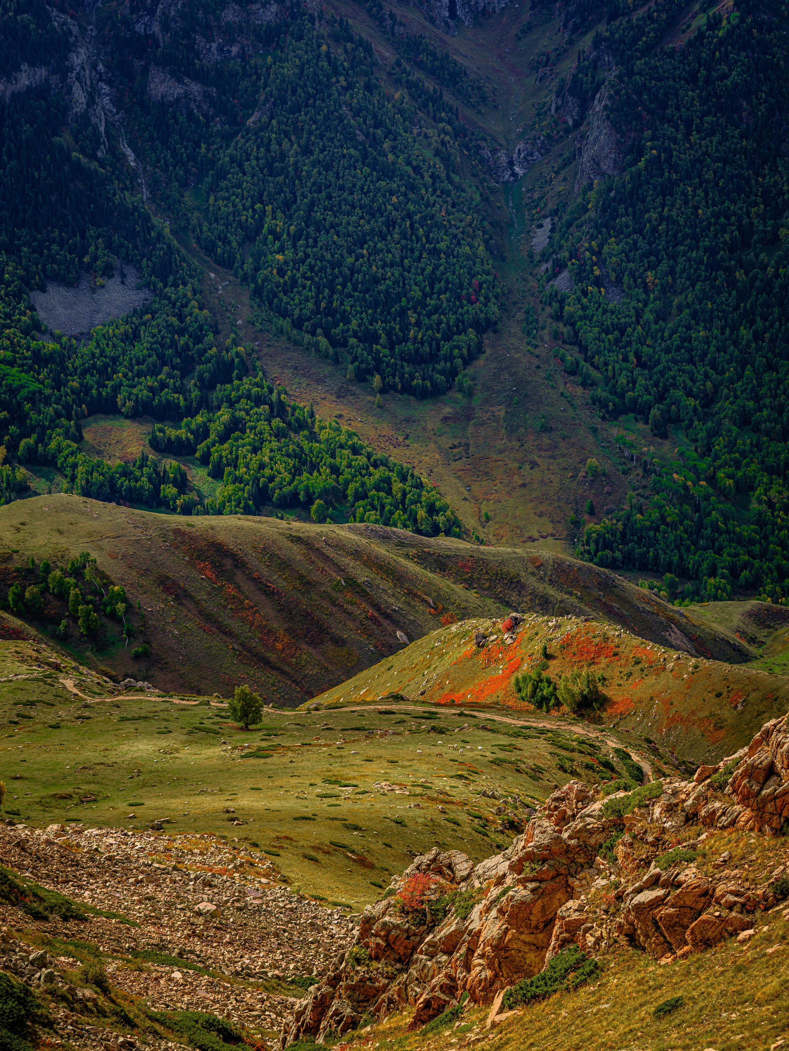 Экспедиция NatGeo X Toyota. Свадебный и Студийный фотограф из Казахстана Артем Орлянский