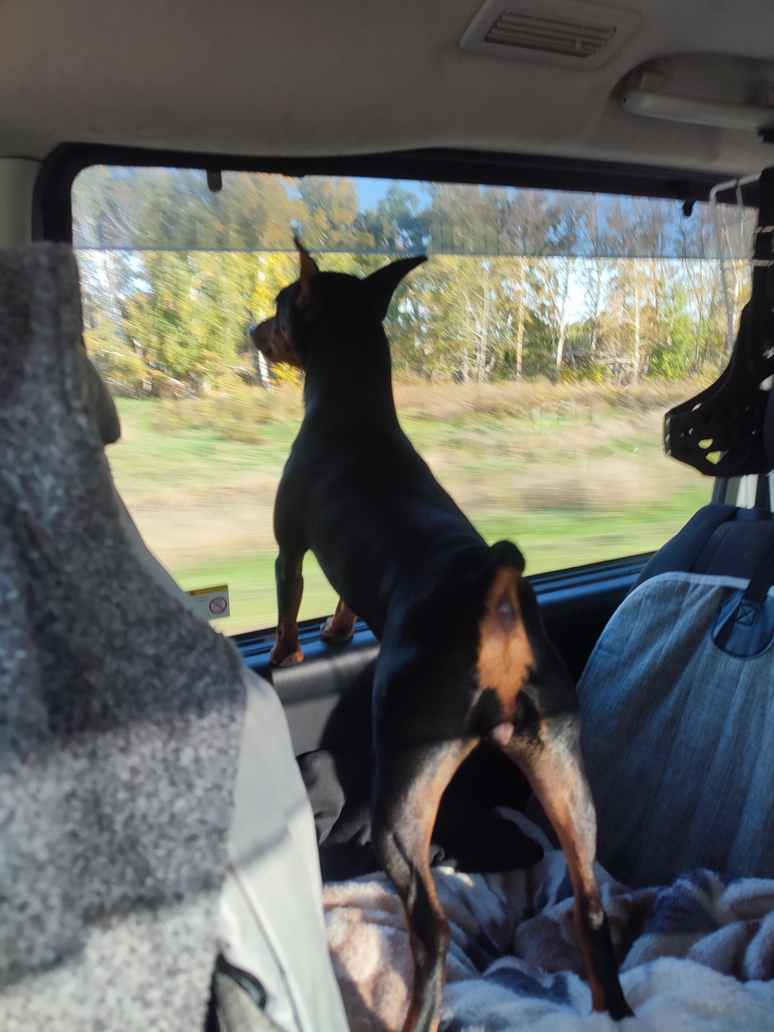 20-21/09.2025 КАЗАХСТАН г. Астана. Фотограф анималист Елена Галдина г. Красноярск