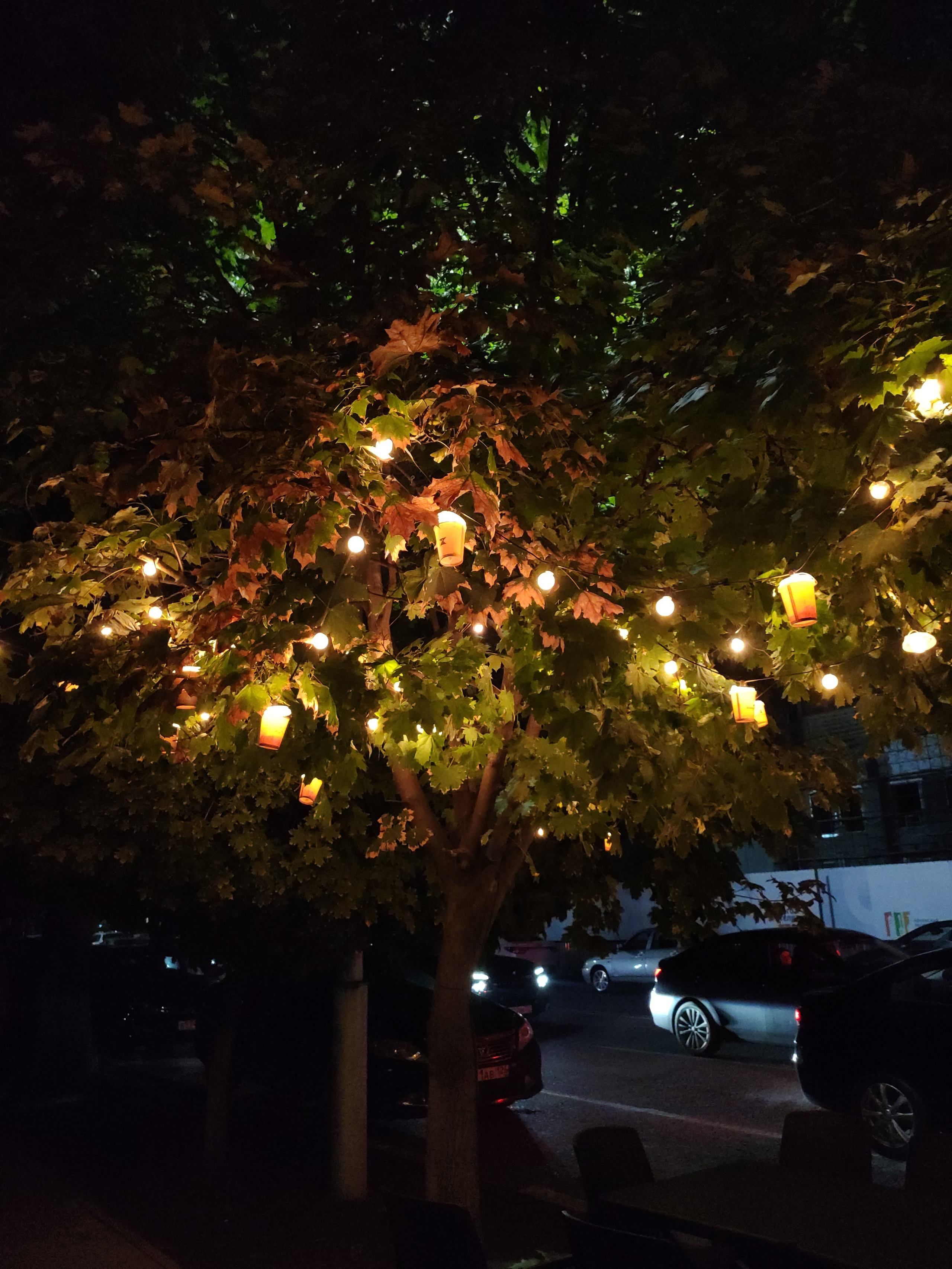 Дагестан своим ходом на машине. Фотограф Тамара Нижельская Воронеж