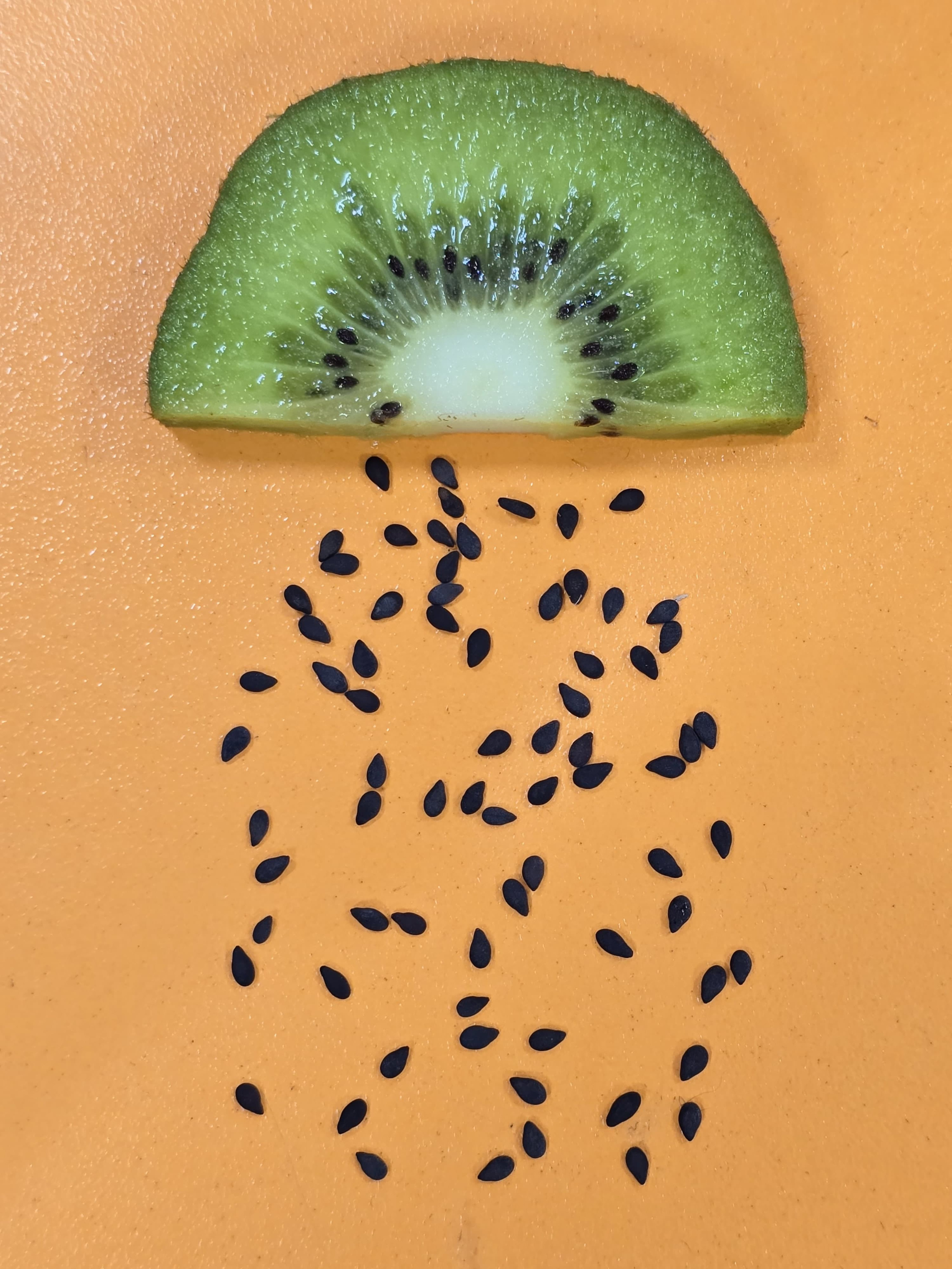 Творческая встреча и еще одна фотовыставка прошла в моем городе!. Детский и семейный фотограф в Павлодаре Оксана Солей. Школа моделей