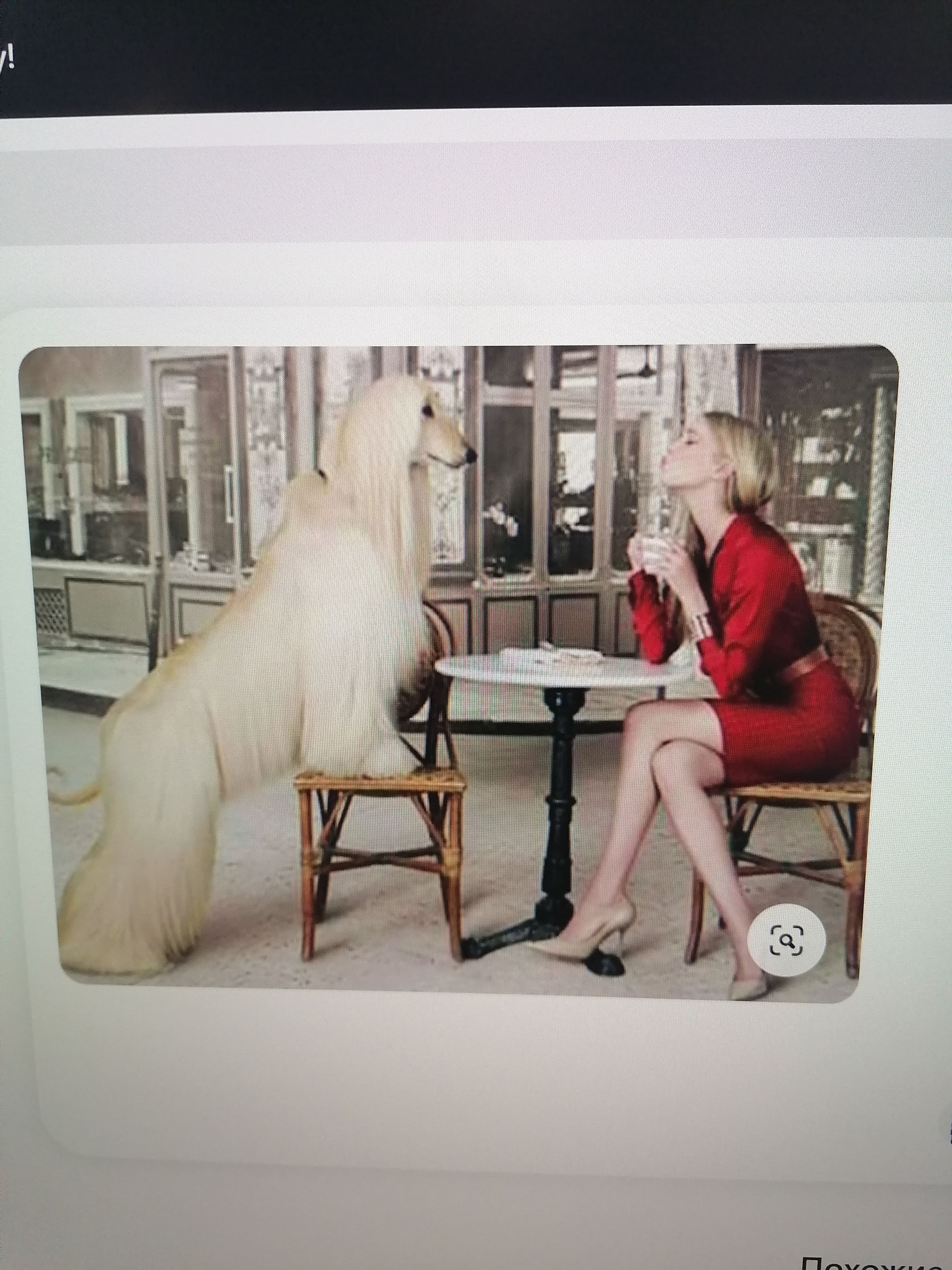 ПЛАН ДЕЙСТВИЙ НА ФОТОСЕССИИ ДЛЯ ВСЕХ УЧАСТНИКОВ