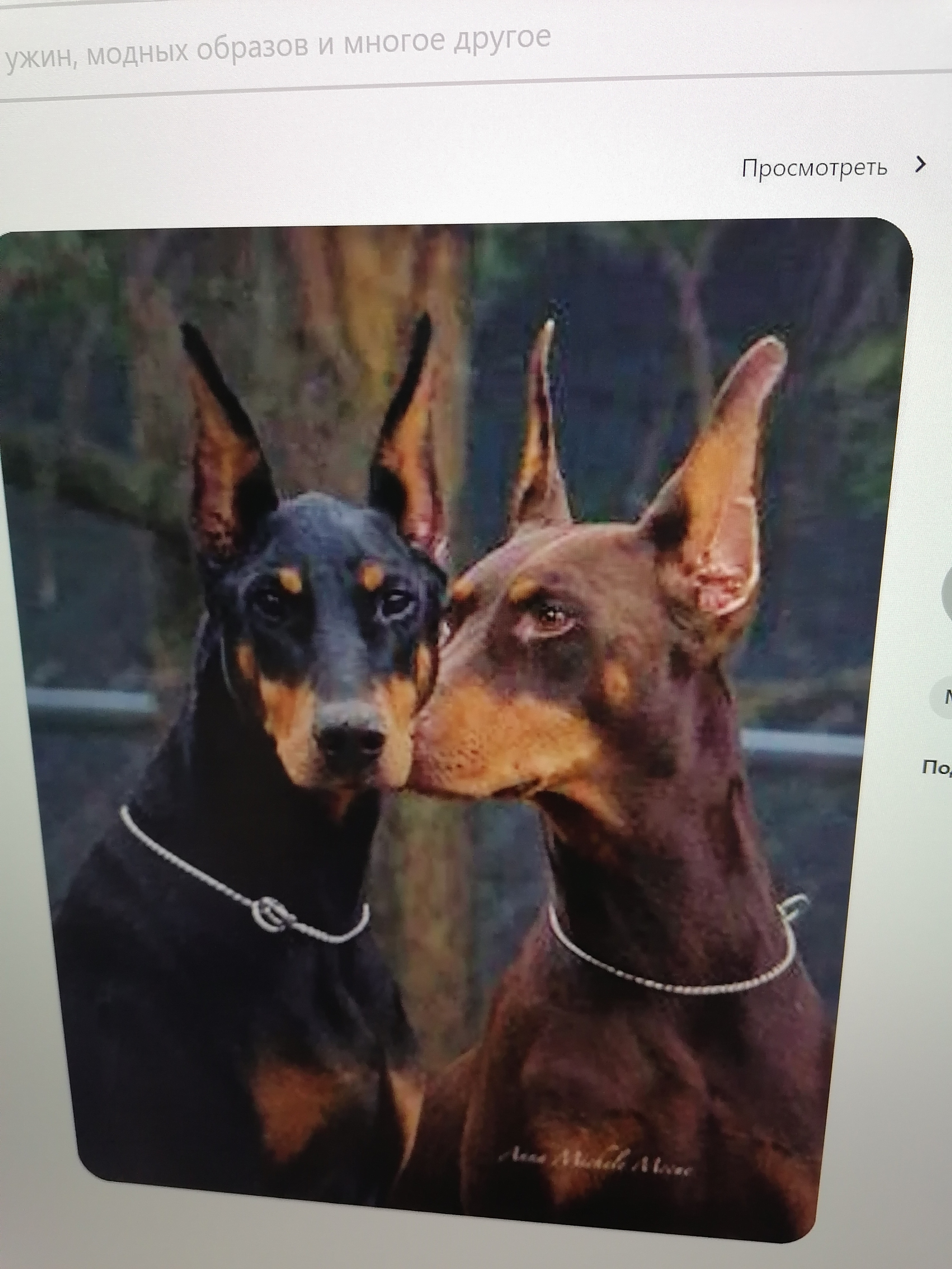 ПЛАН ДЕЙСТВИЙ НА ФОТОСЕССИИ ДЛЯ ВСЕХ УЧАСТНИКОВ