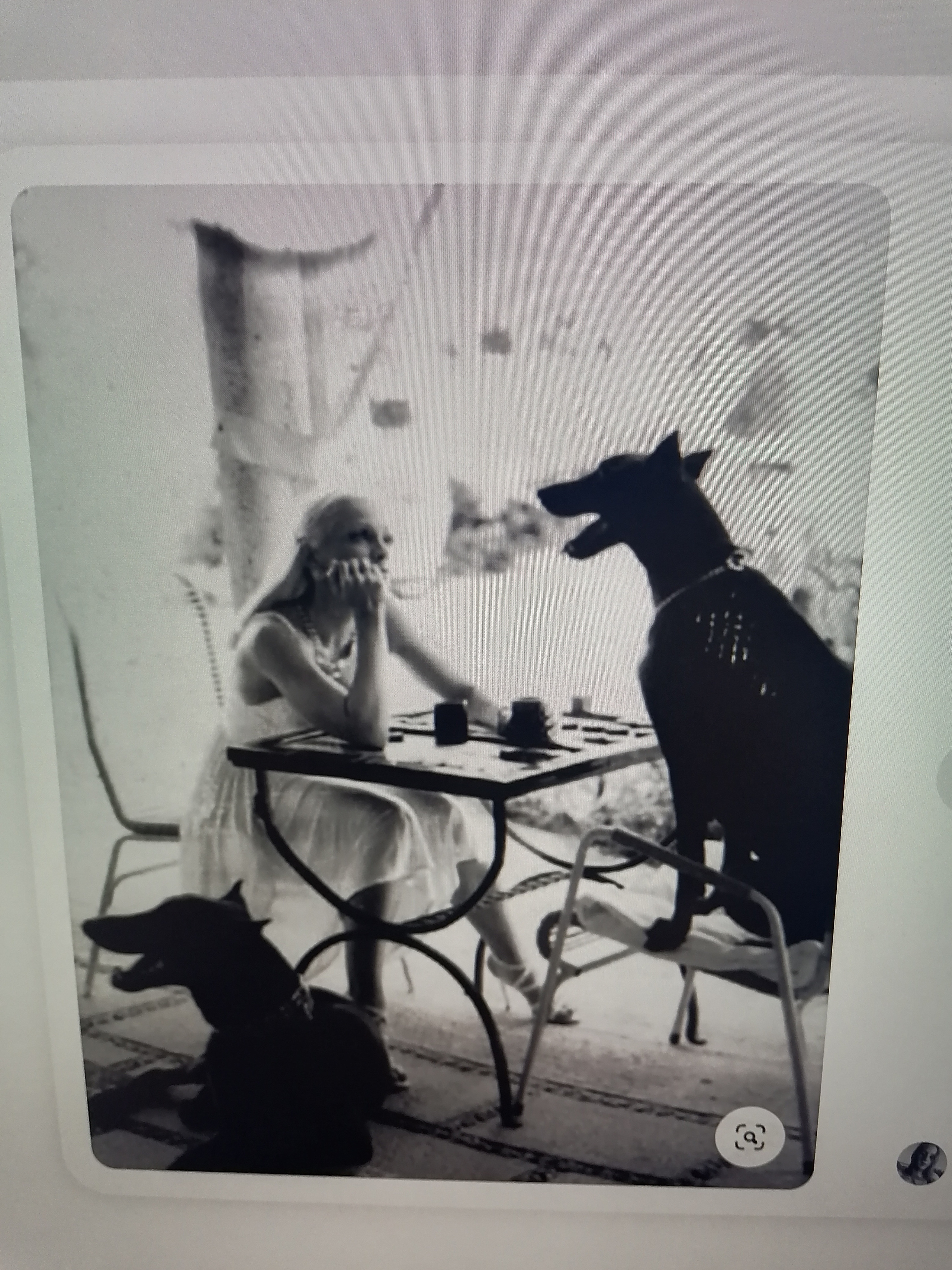 ПЛАН ДЕЙСТВИЙ НА ФОТОСЕССИИ ДЛЯ ВСЕХ УЧАСТНИКОВ