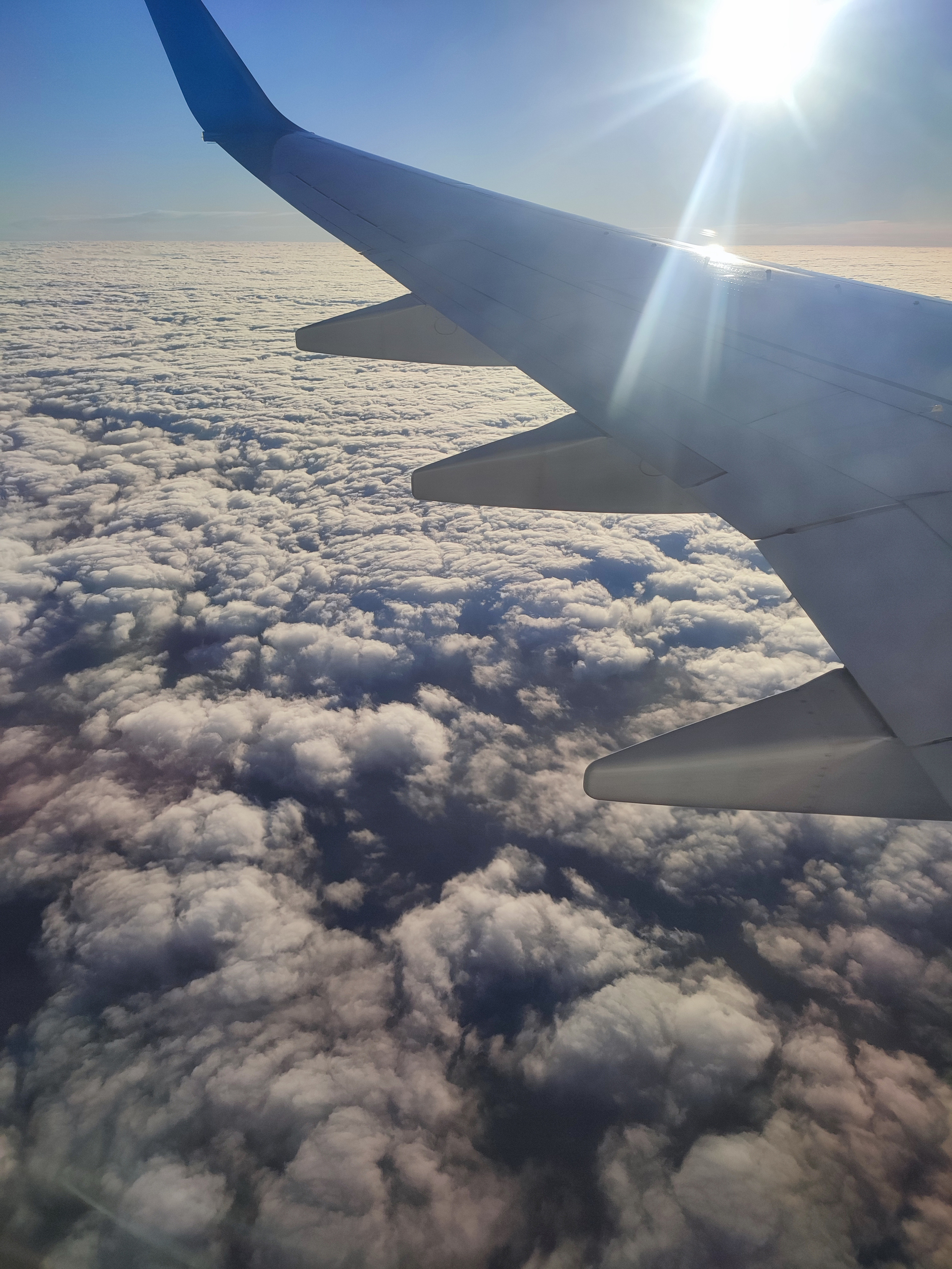 Обо мне. Ваш личный фотограф в Пскове Анаис Рамирез