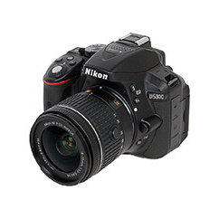 Training programs. Max Matvich and Victoria Basova are professionals in their field