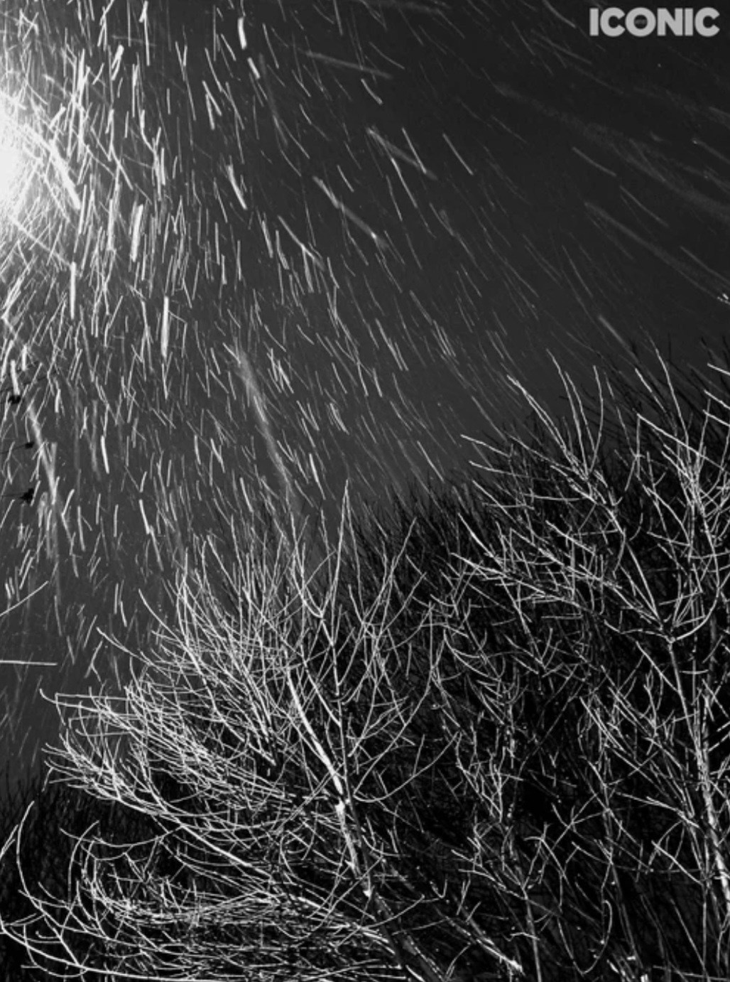 Публикации в журналах. Портретный фотограф в Москве Анна Фаустова