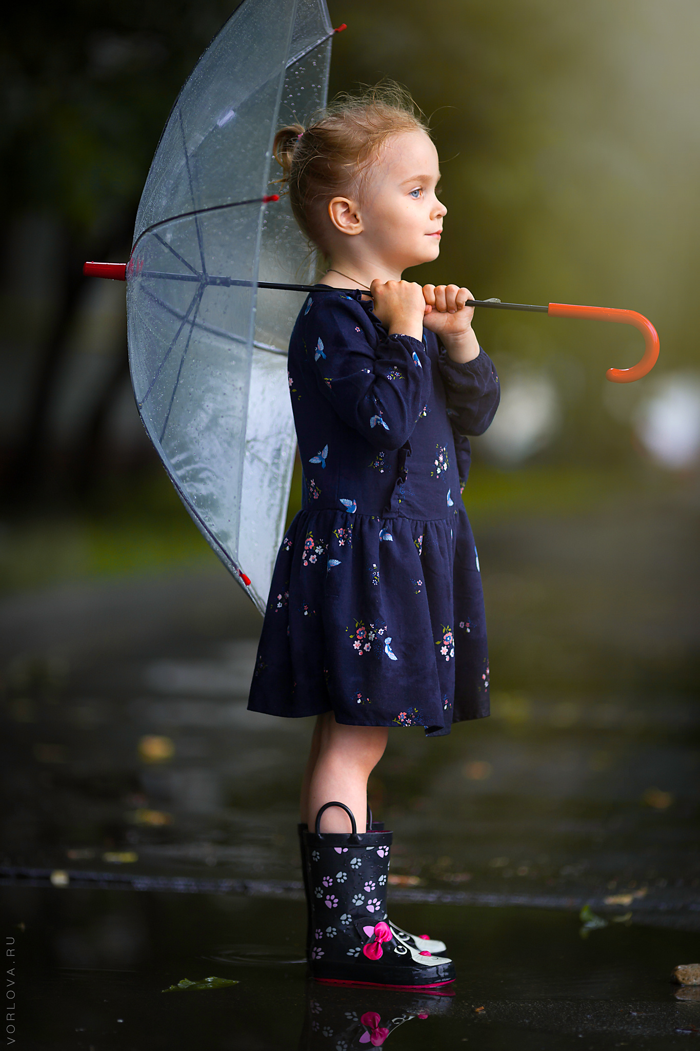 Летние фотосесии. Детский и семейный фотограф в Москве Вера Орлова