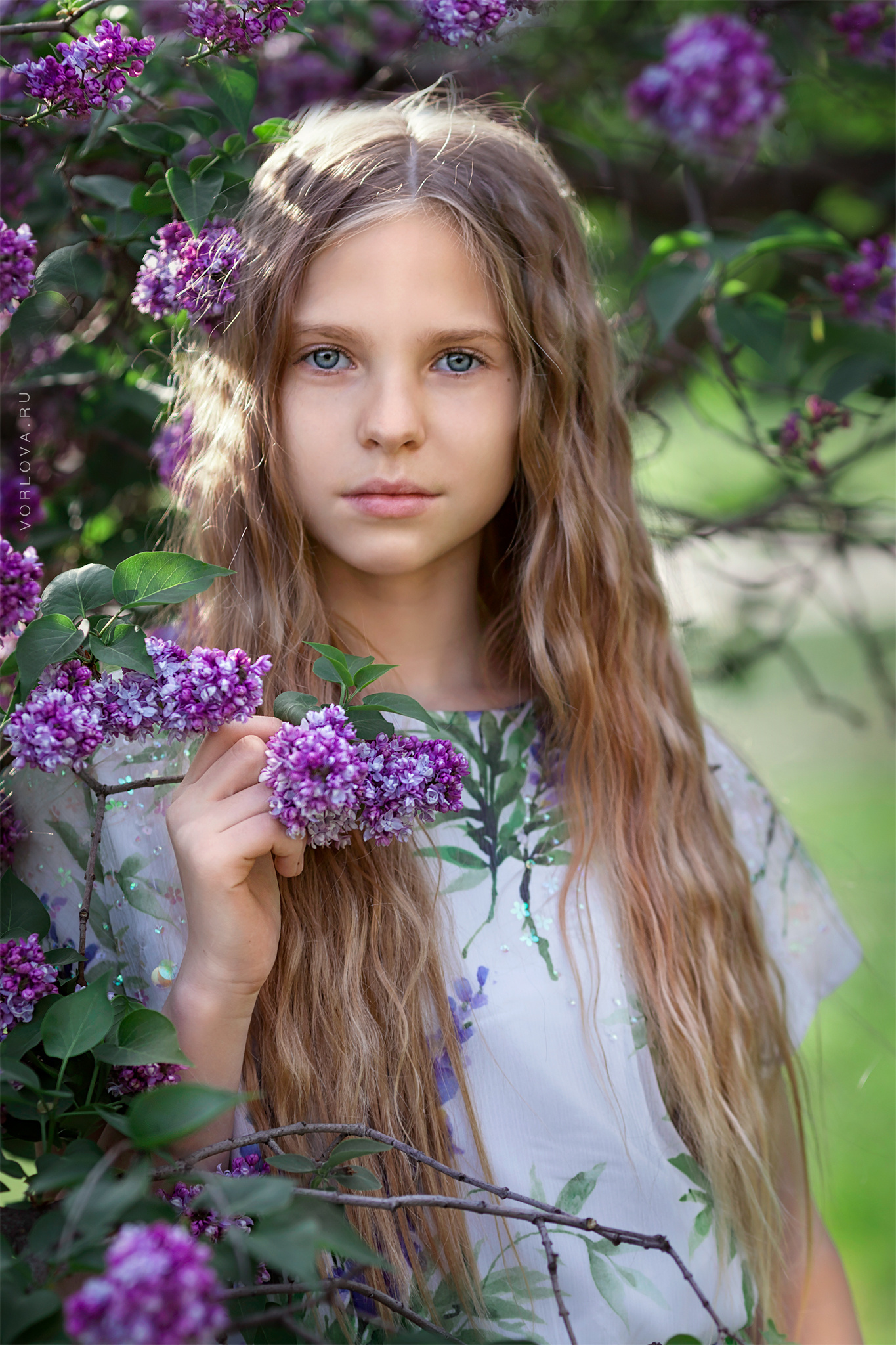Фотосессии в цветущих садах. Детский и семейный фотограф в Москве Вера Орлова