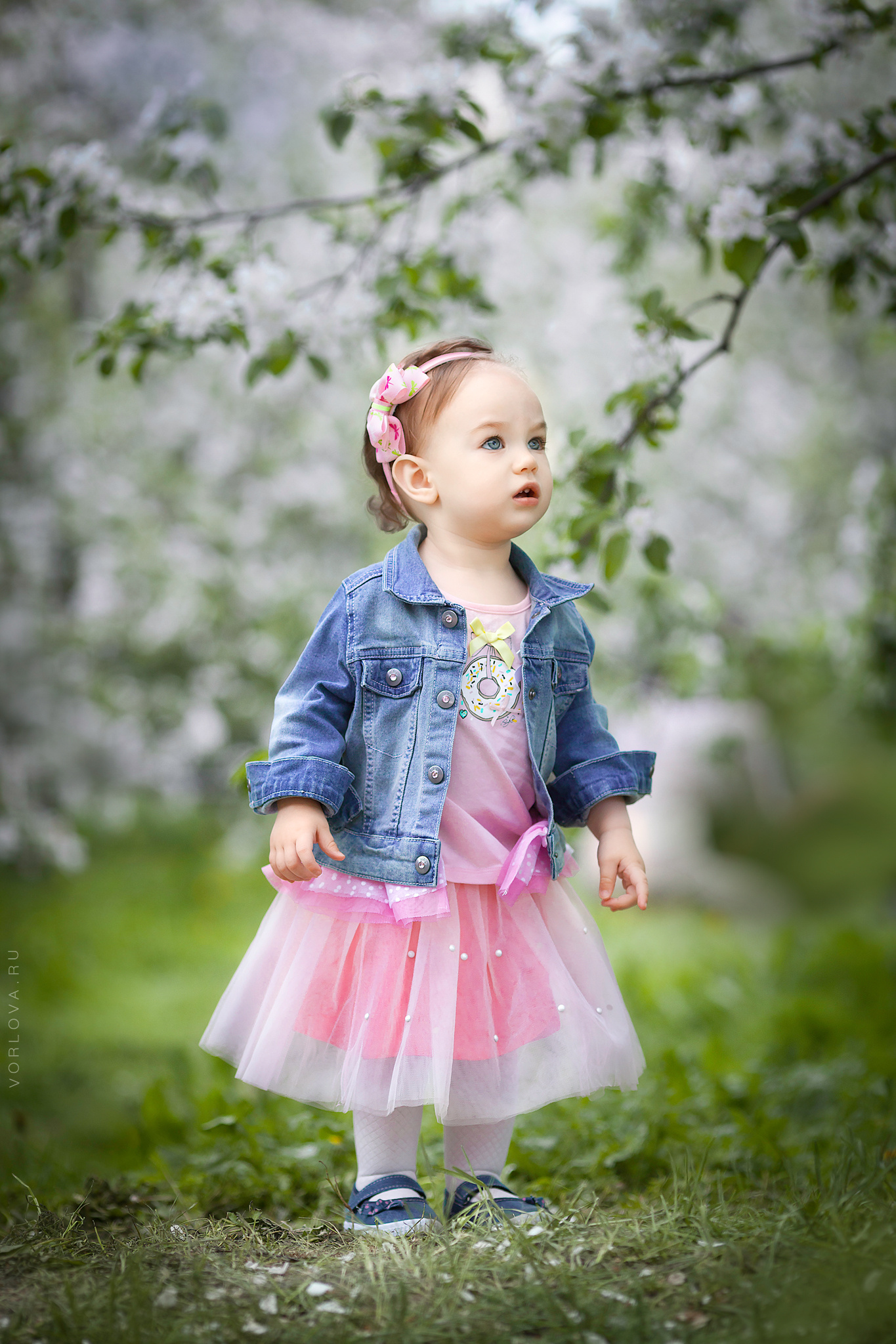 Фотосессии в цветущих садах. Детский и семейный фотограф в Москве Вера Орлова