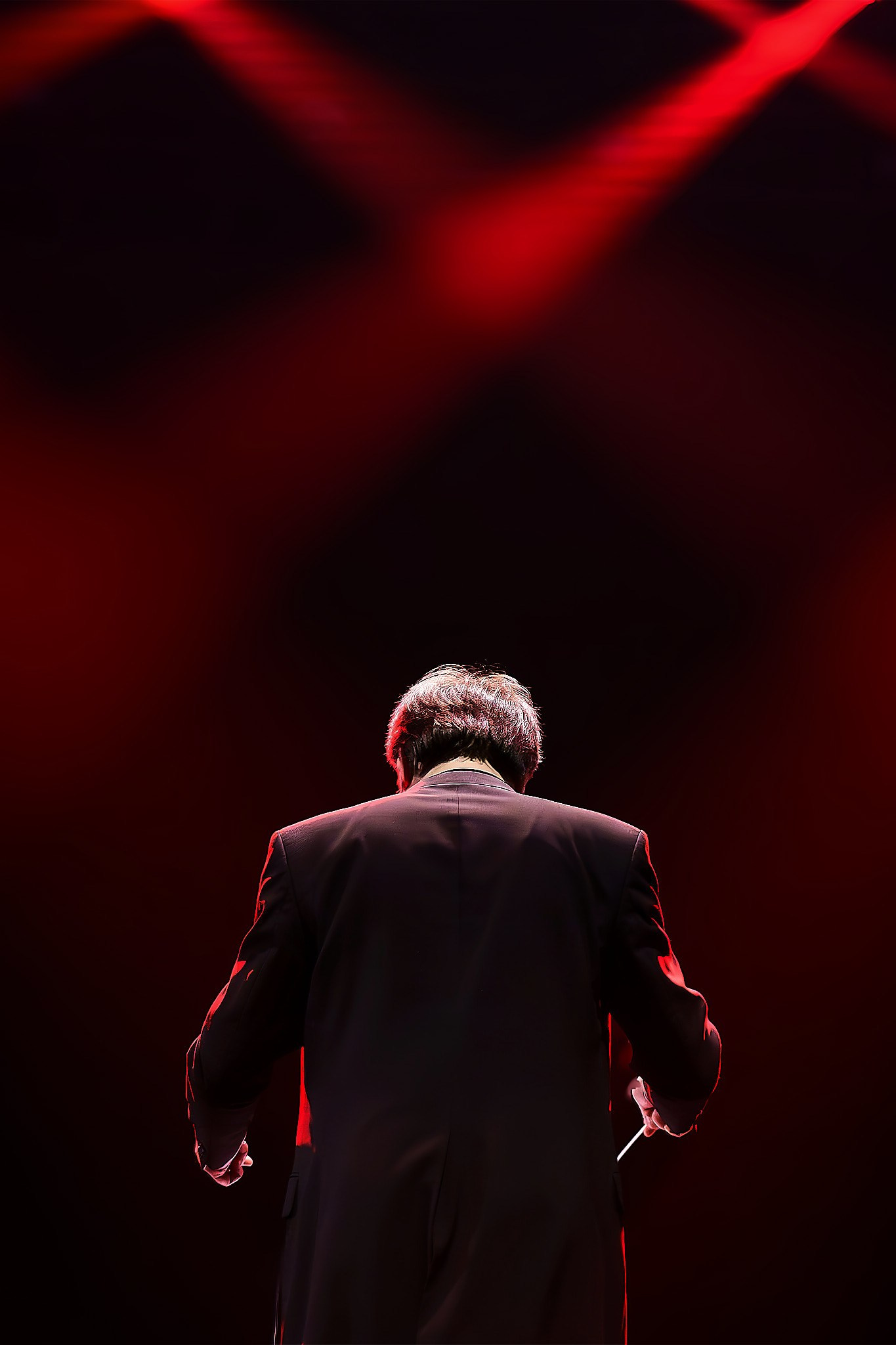 Услуги. Виктория Алексеева Репортажный Фотохудожник