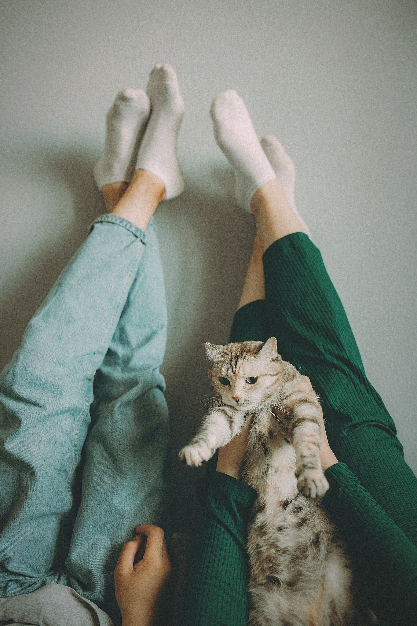 Стоимость. Фотограф-анималист • love-story • Санкт-Петербург