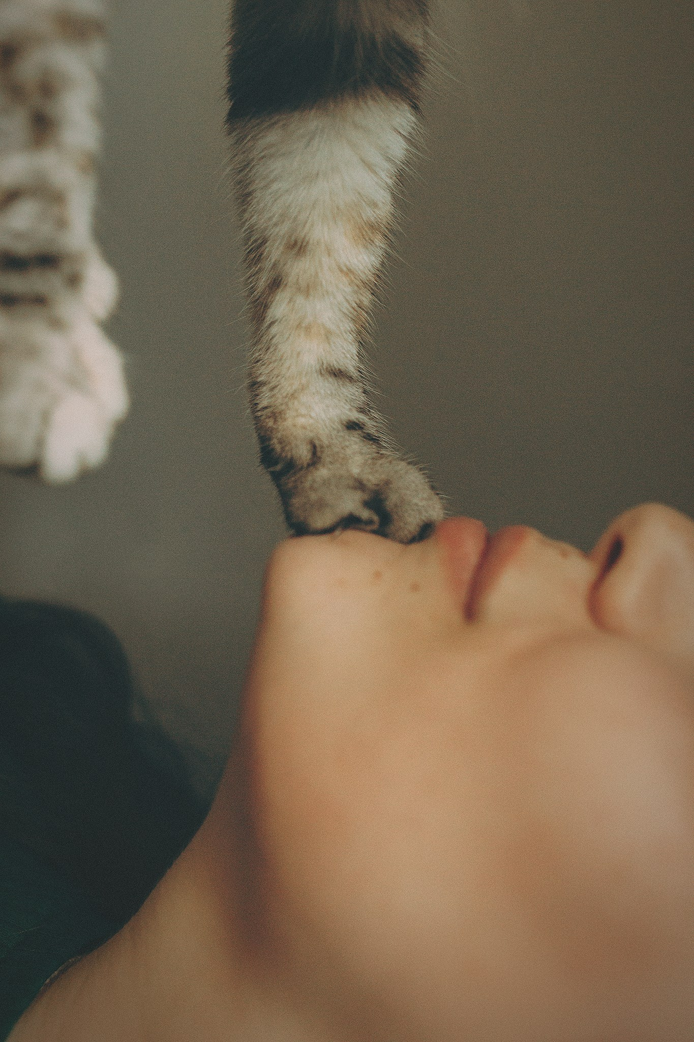 Стоимость. Фотограф-анималист • love-story • Санкт-Петербург