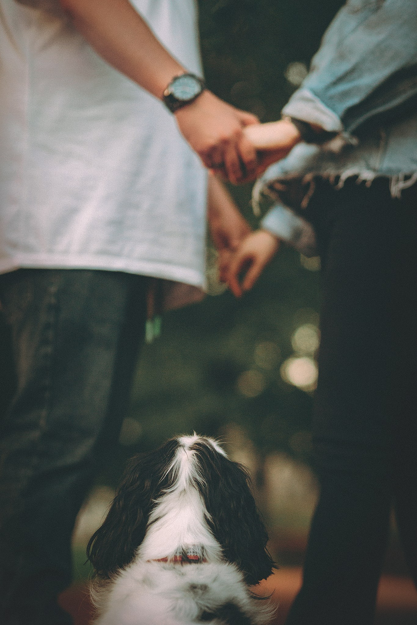 Фотограф-анималист • love-story • Санкт-Петербург