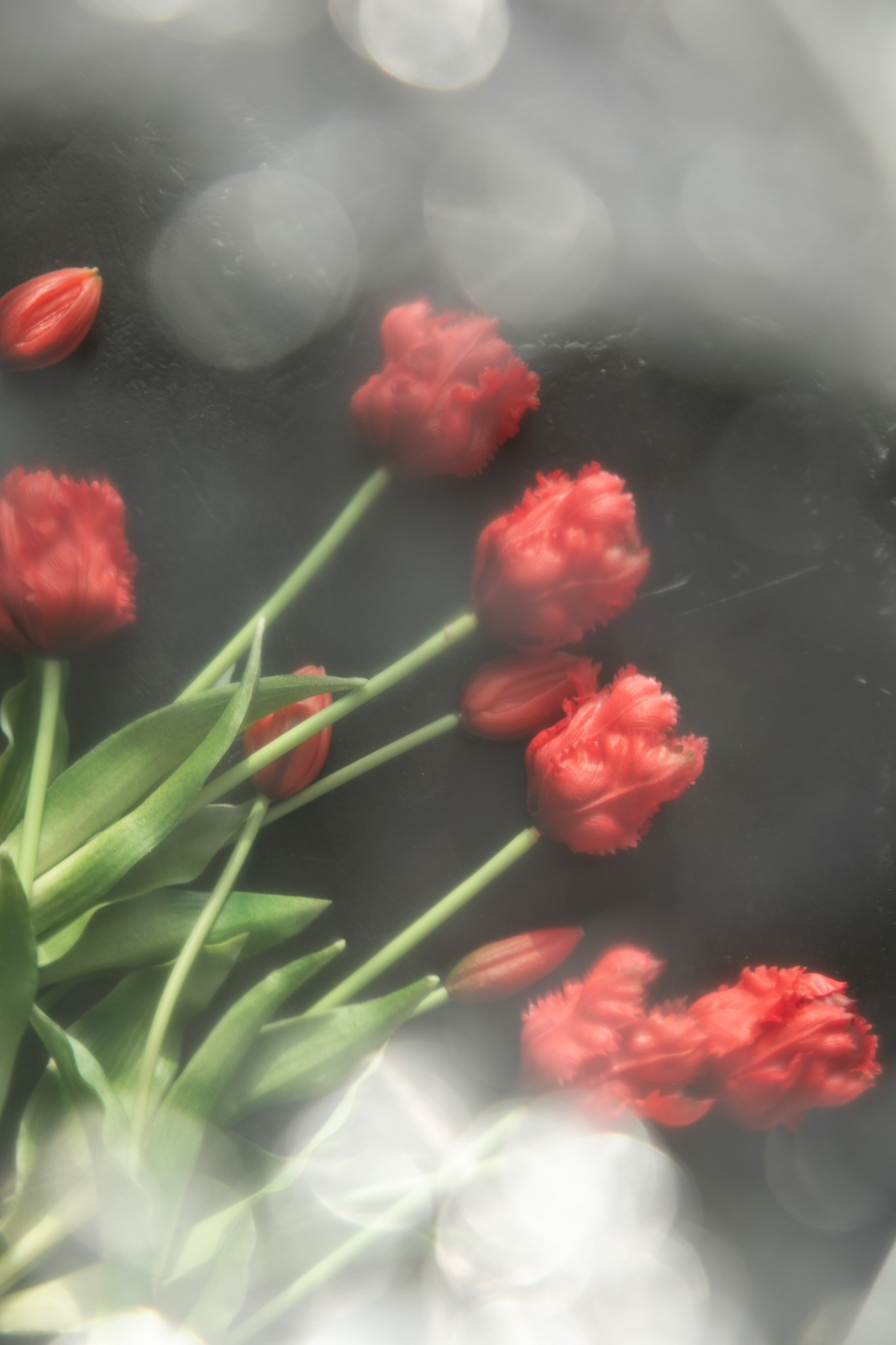 Фототерапия. Фотограф в Москве Талызина Наталья