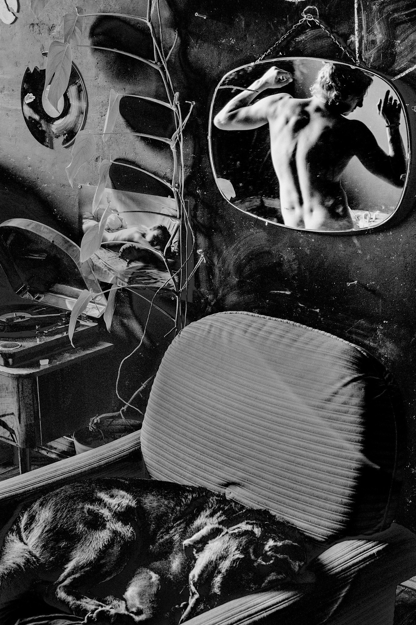 Фокин Алексей. Организация фотовыставок в Петербурге и Москве, MFamilia (МФамилия)