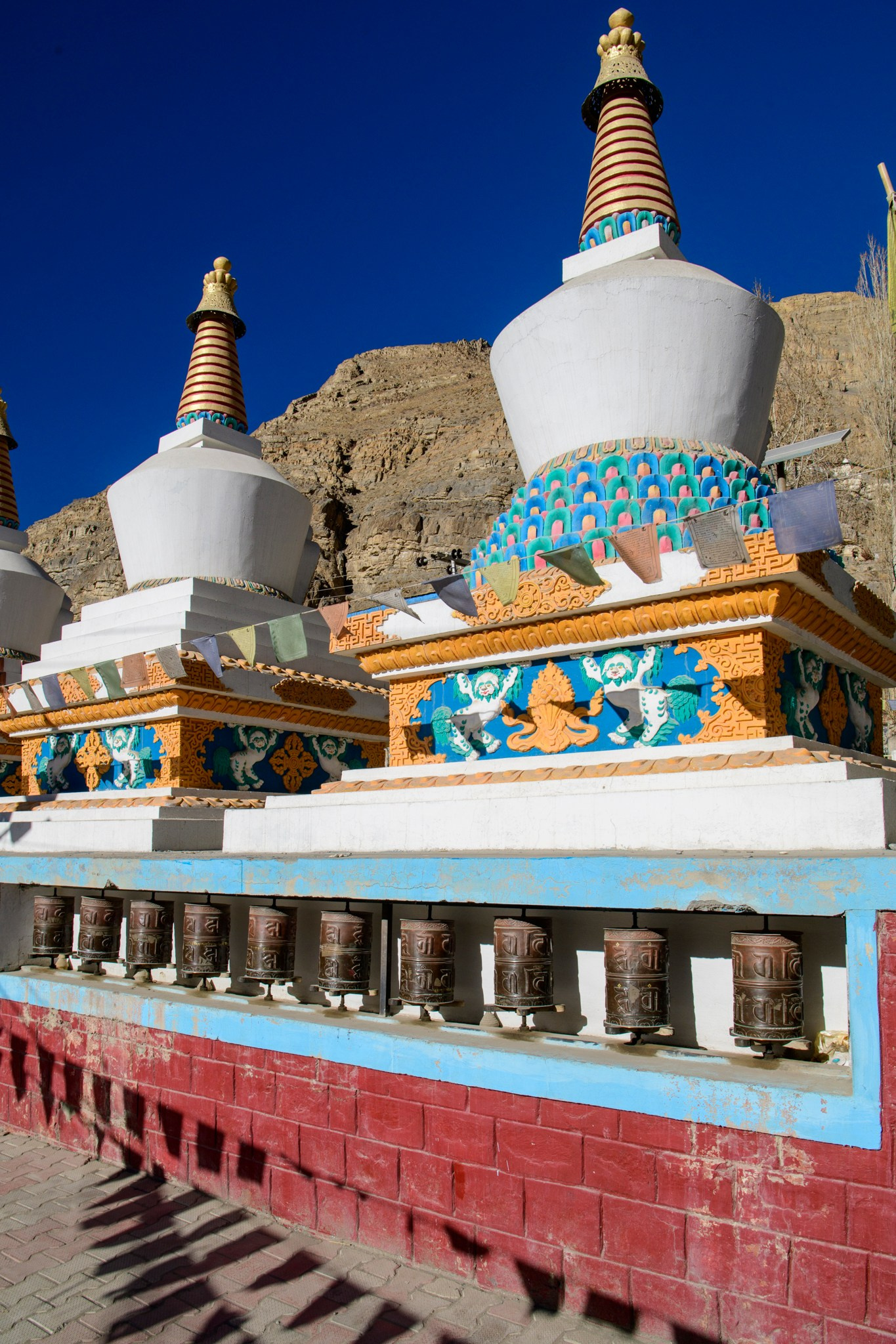 Путешествие в долину Спити: снежные барсы и духовное наследие Гималаев. Wildlife photography by Sergey Puponin