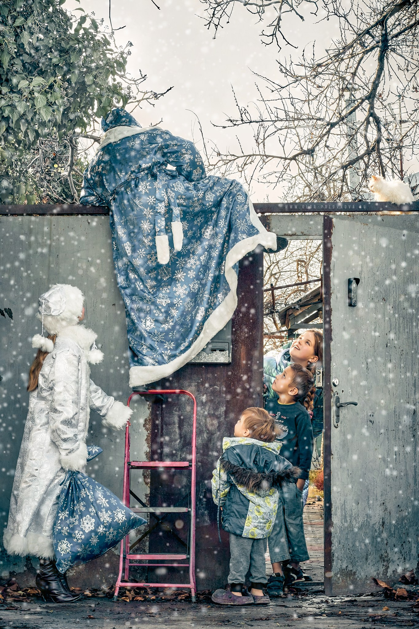 Фотограф в Севастополе Ольга Половкова