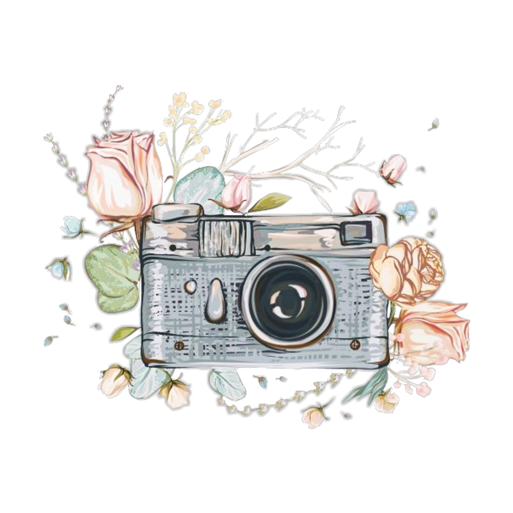 Контакты. Свадебный фотограф Кузнецова Ольга Санкт-Петербург, Вологда, Череповец