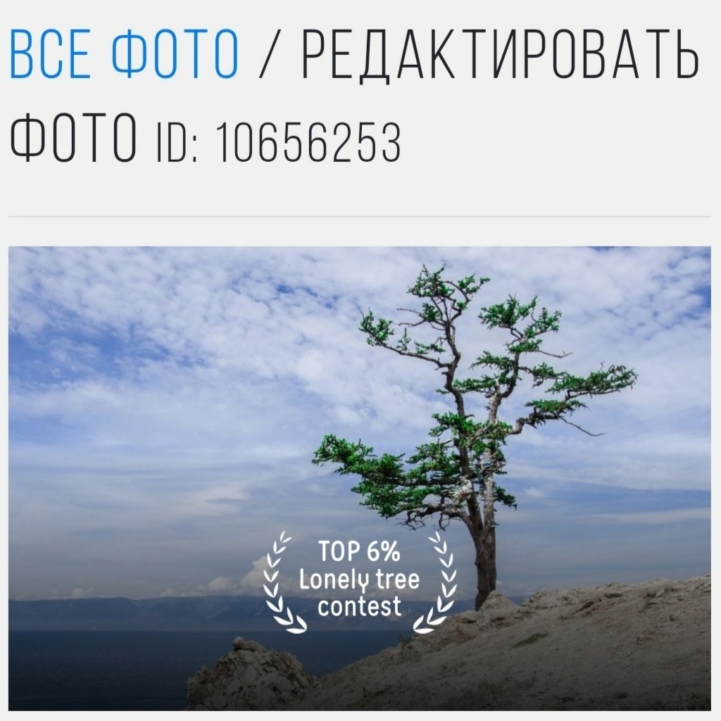 Фотограф в Красноярске Марина Анищук | Женские, семейные и репортажные фотосессии