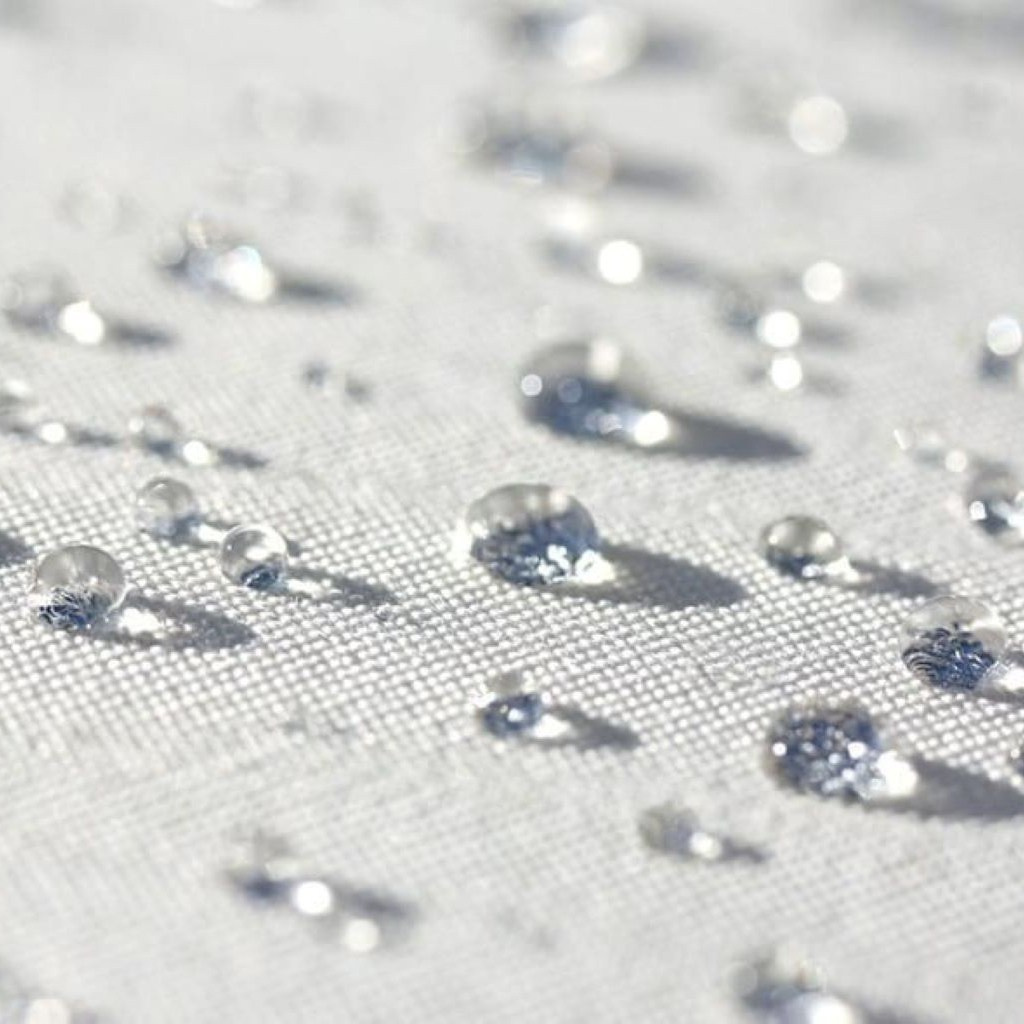 Buns. Видеооператор Москва