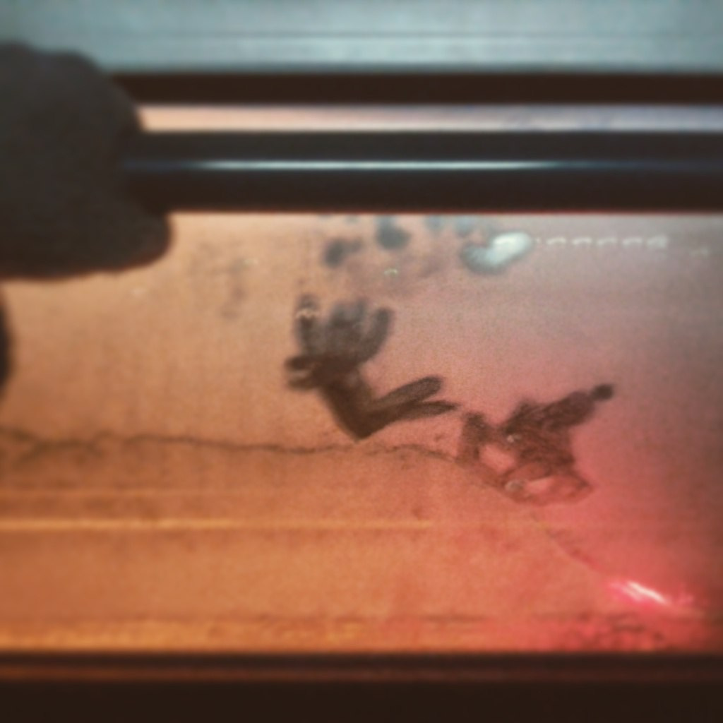 Рисункинаокнахавтобуса. Художник Рыбак Николай