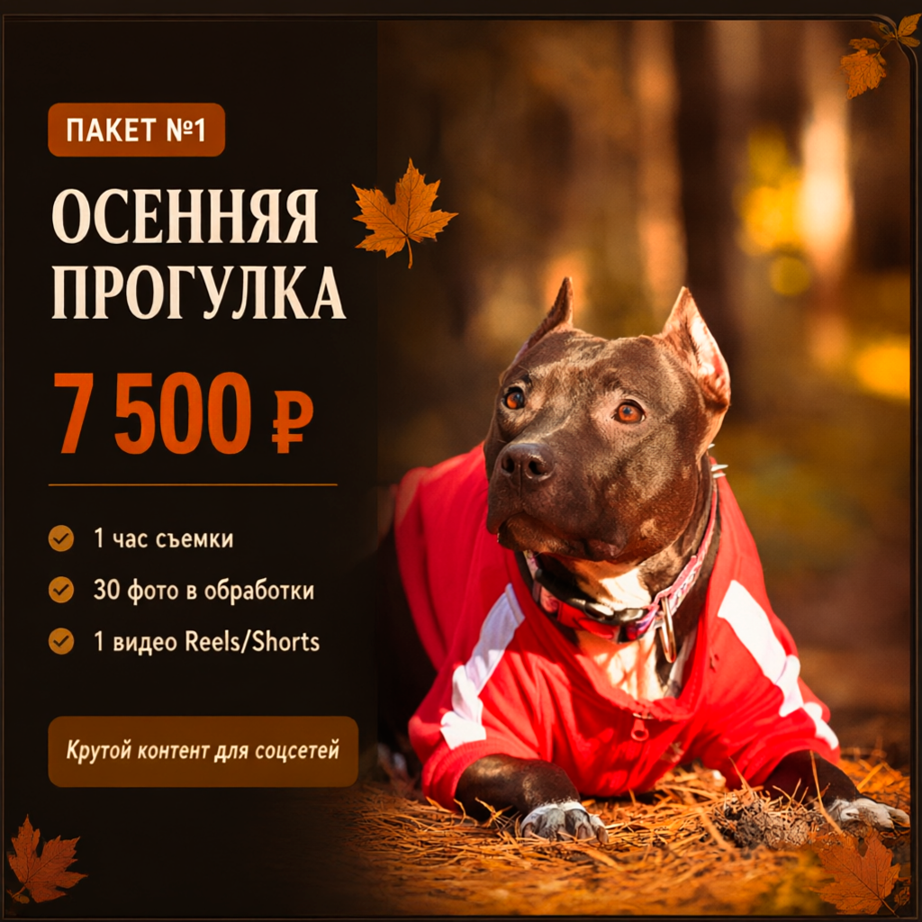 Осенняя съёмка с собакой