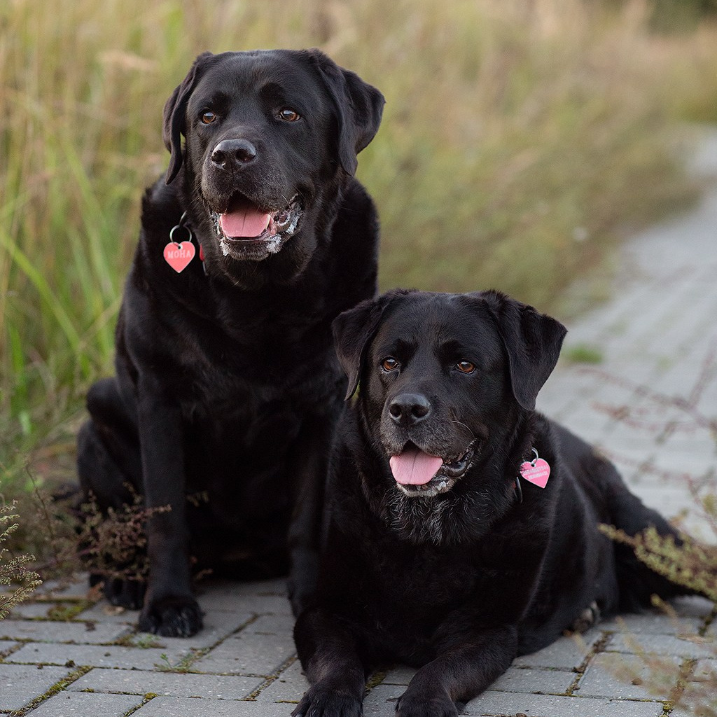 Контакты. Фотограф — Анималист Наталья Тямушева