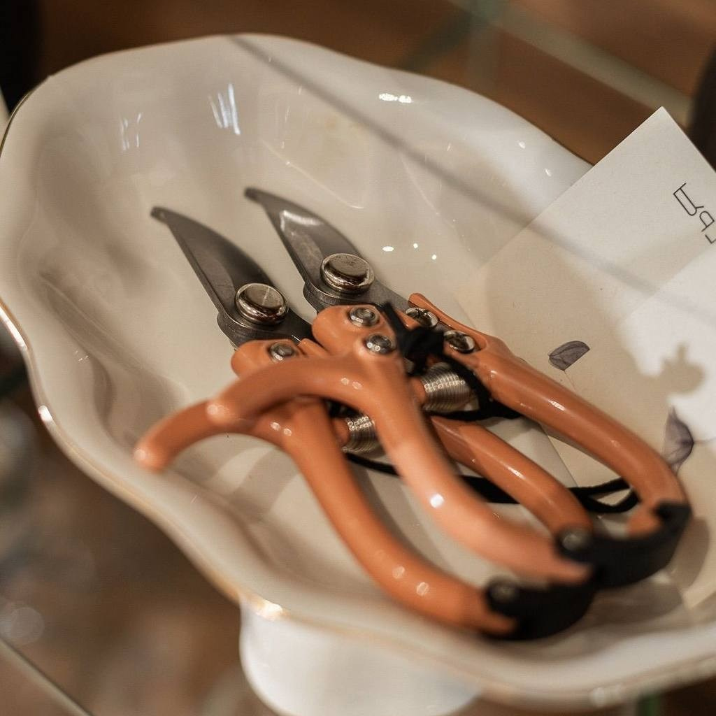 Инструкция ухода. Купить цветы с доставкой по Москве