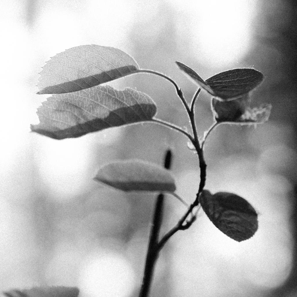 Консультация. Твой фотограф в Москве и Московской области Романцова Ирина