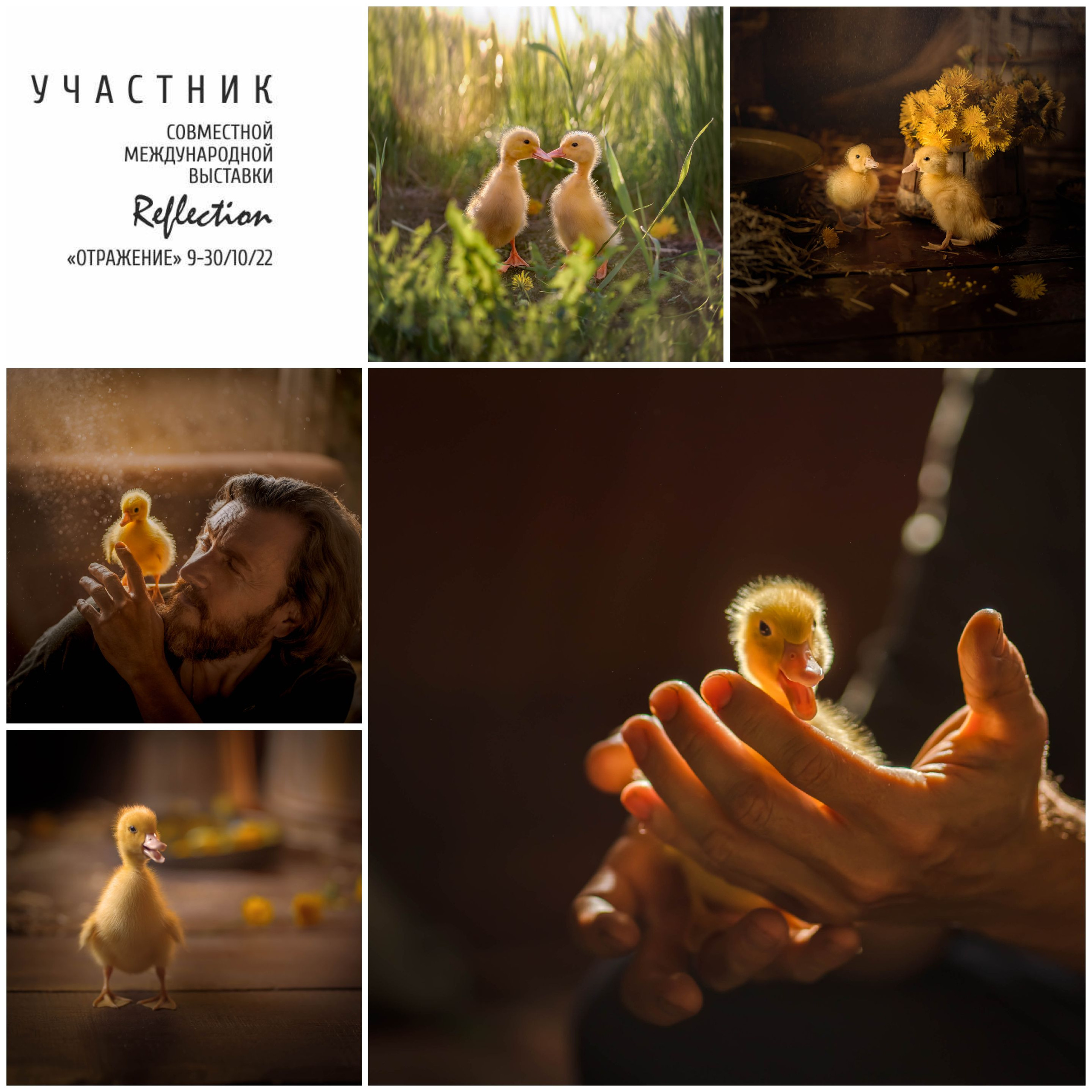 Выставка «Отражение»