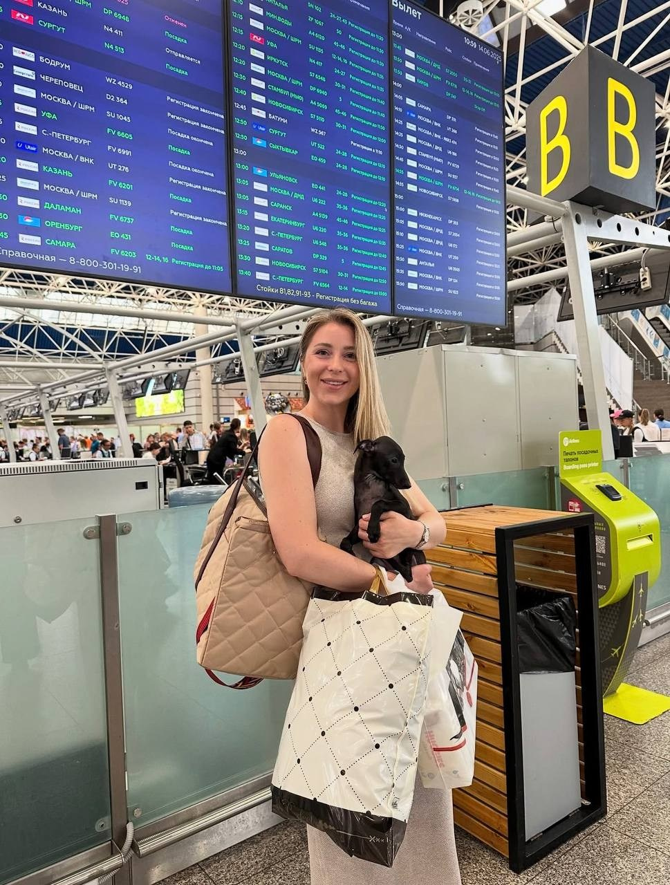 Доставка щенков по всему миру. Профессиональный питомник левреток РКФ/FCI ASTI SAPPHIRE 💎 Сочи|Санкт-Петербург