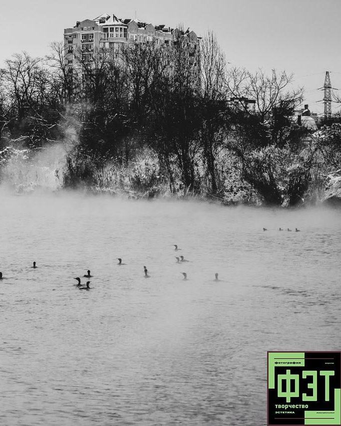 Альбом 25.01.26 в рамках ФЭТ