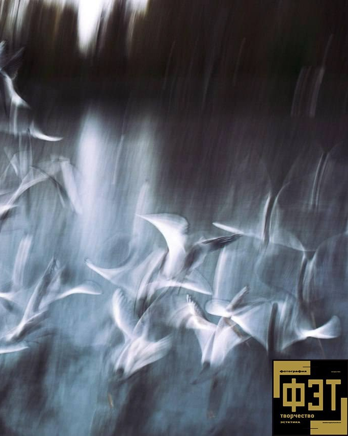 Выбор зрителей 14.12.25