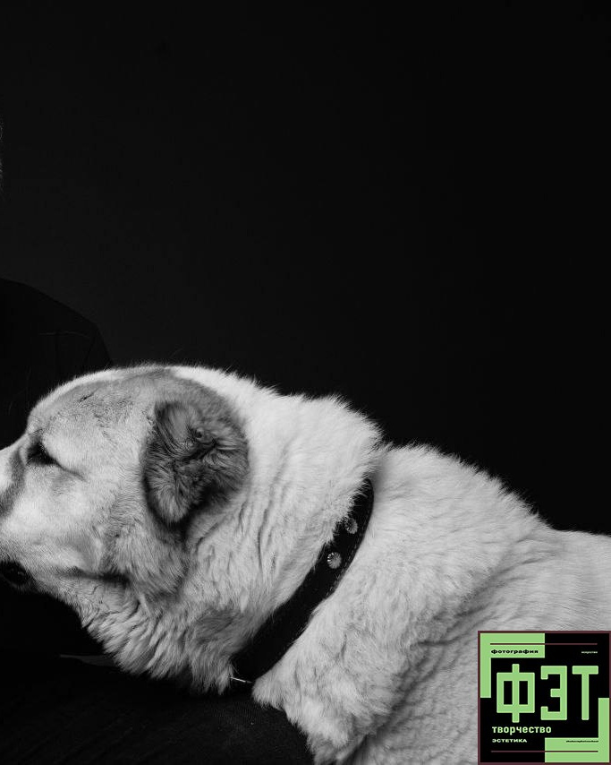 Альбом 08.03.26 в рамках ФЭТ