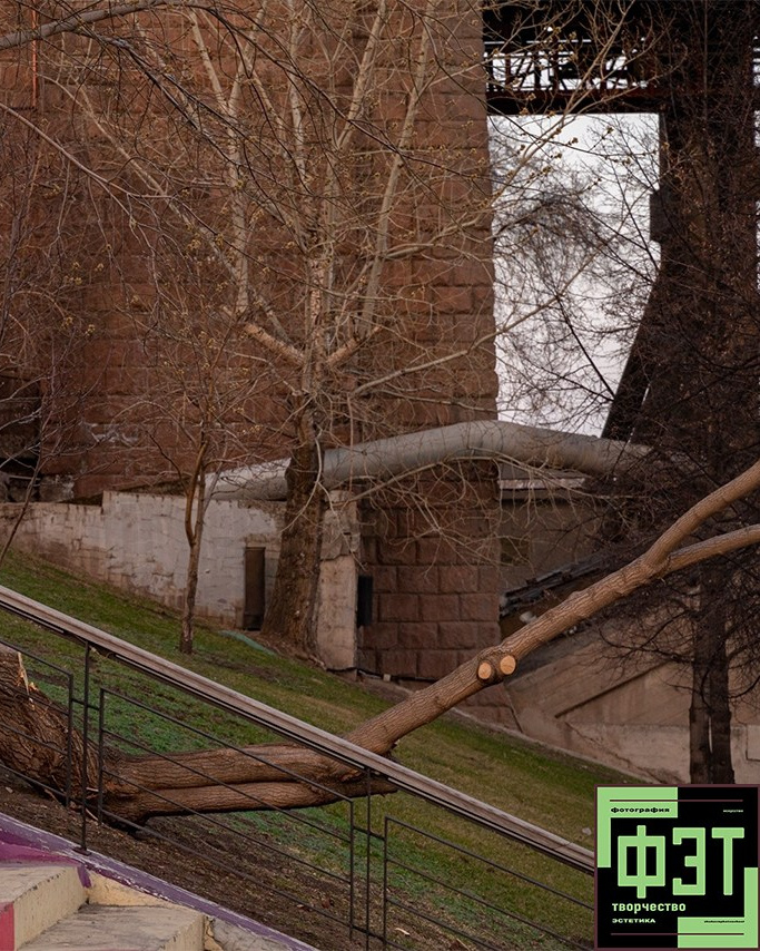 Альбом 12.04.26 в рамках ФЭТ